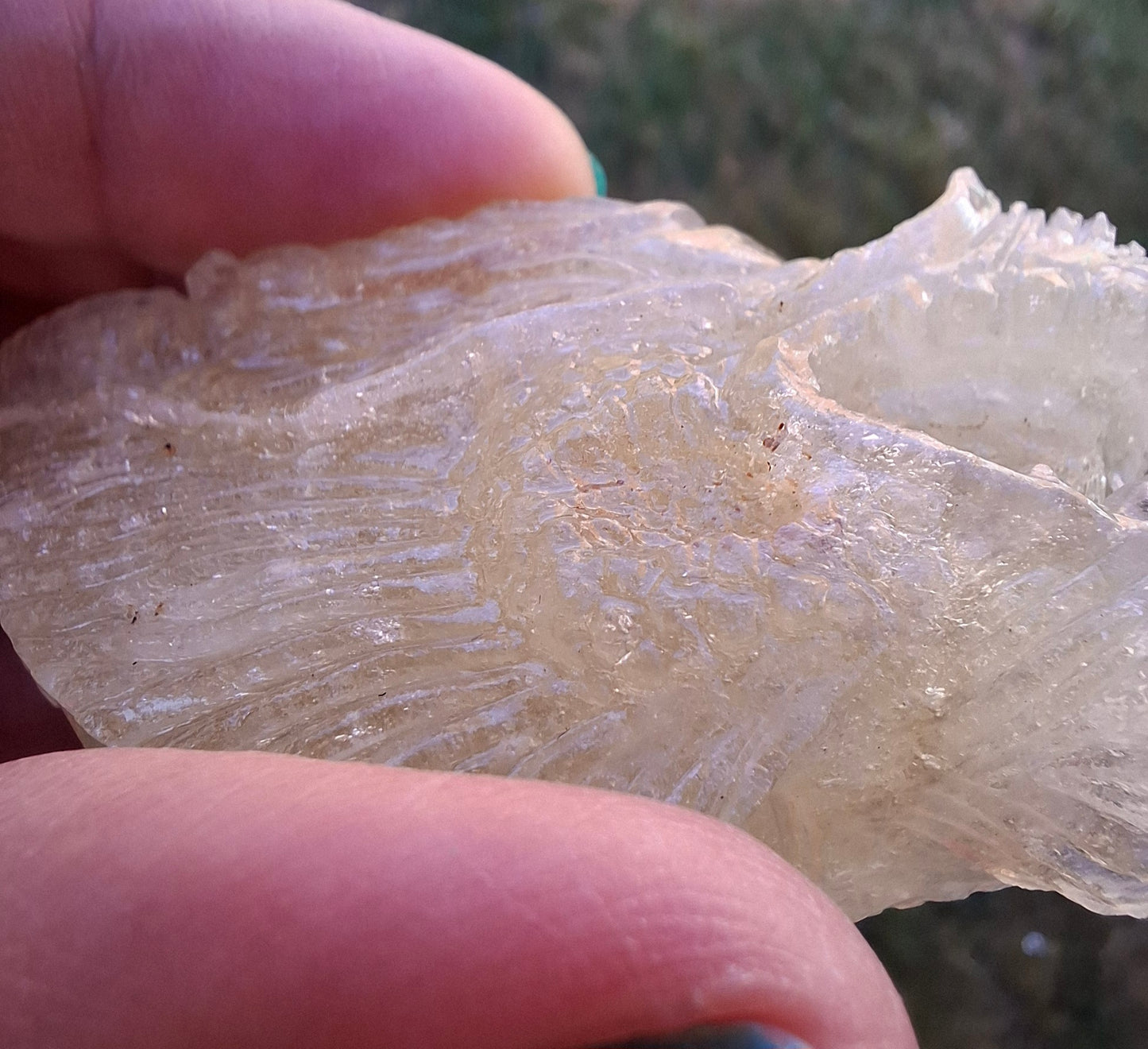 Libyan Desert Glass DRAGON HEAD Carving, 75.84g, Tektite (Ref: Dragon1)