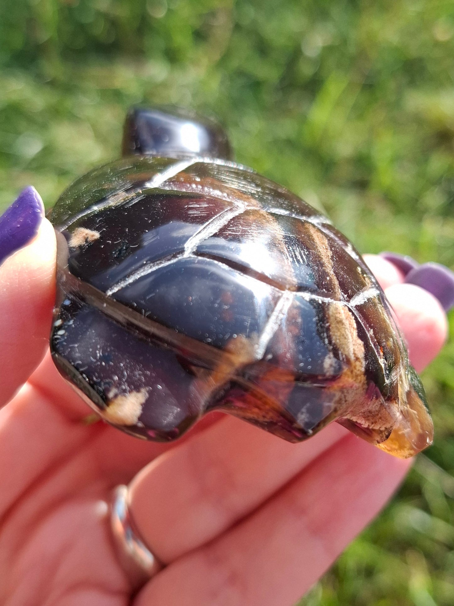 Red Amber Turtle, 52.00g, Carving, Fossil (Ref: TT3)