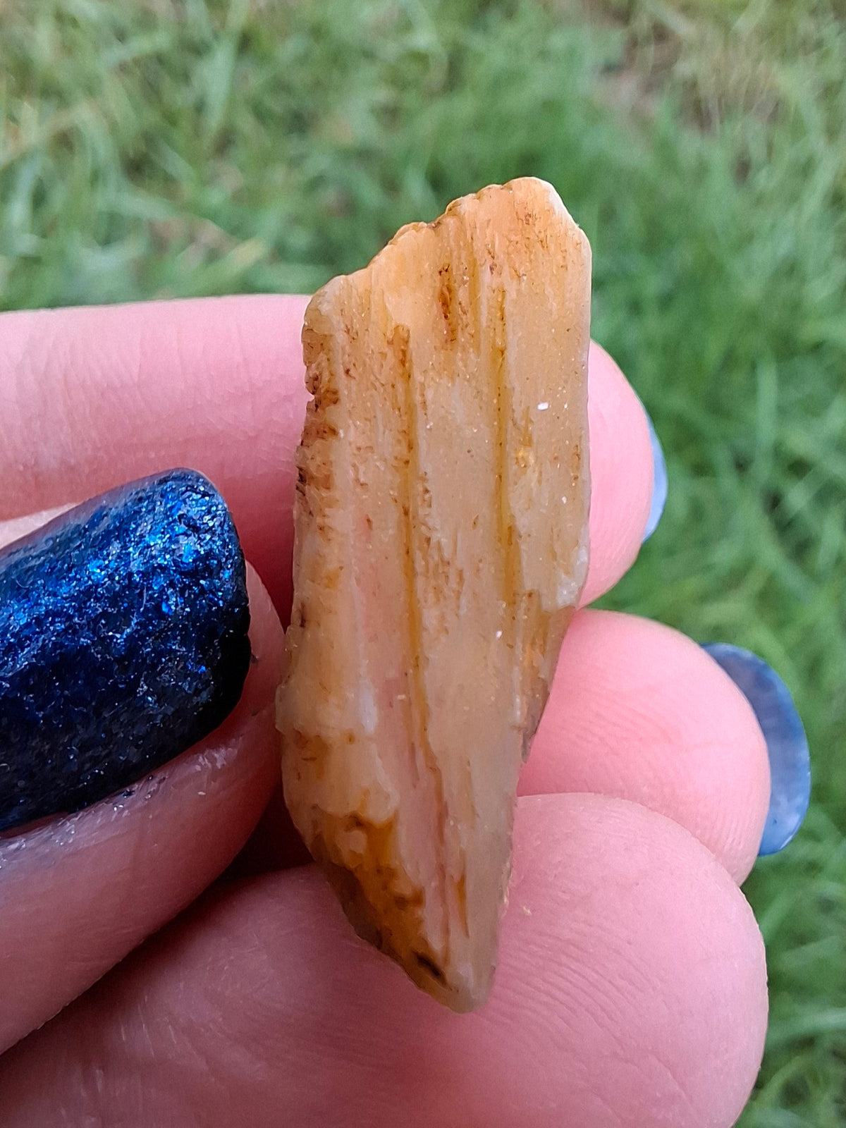 Diaspore (Zultanite), 6.86g, Crystal (Ref: DIS4)