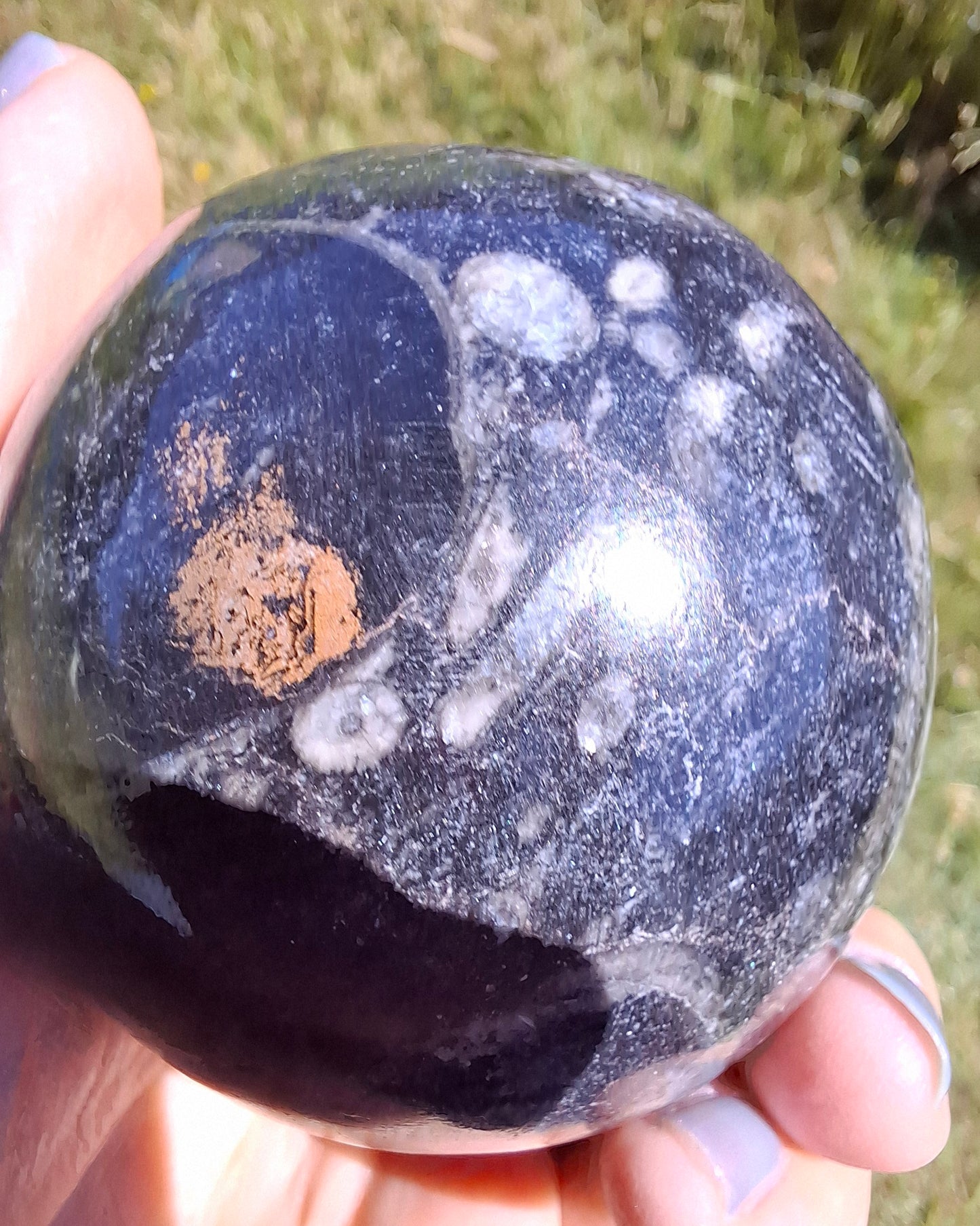 Orthoceras Sphere, Fossil (Ref: OS3)