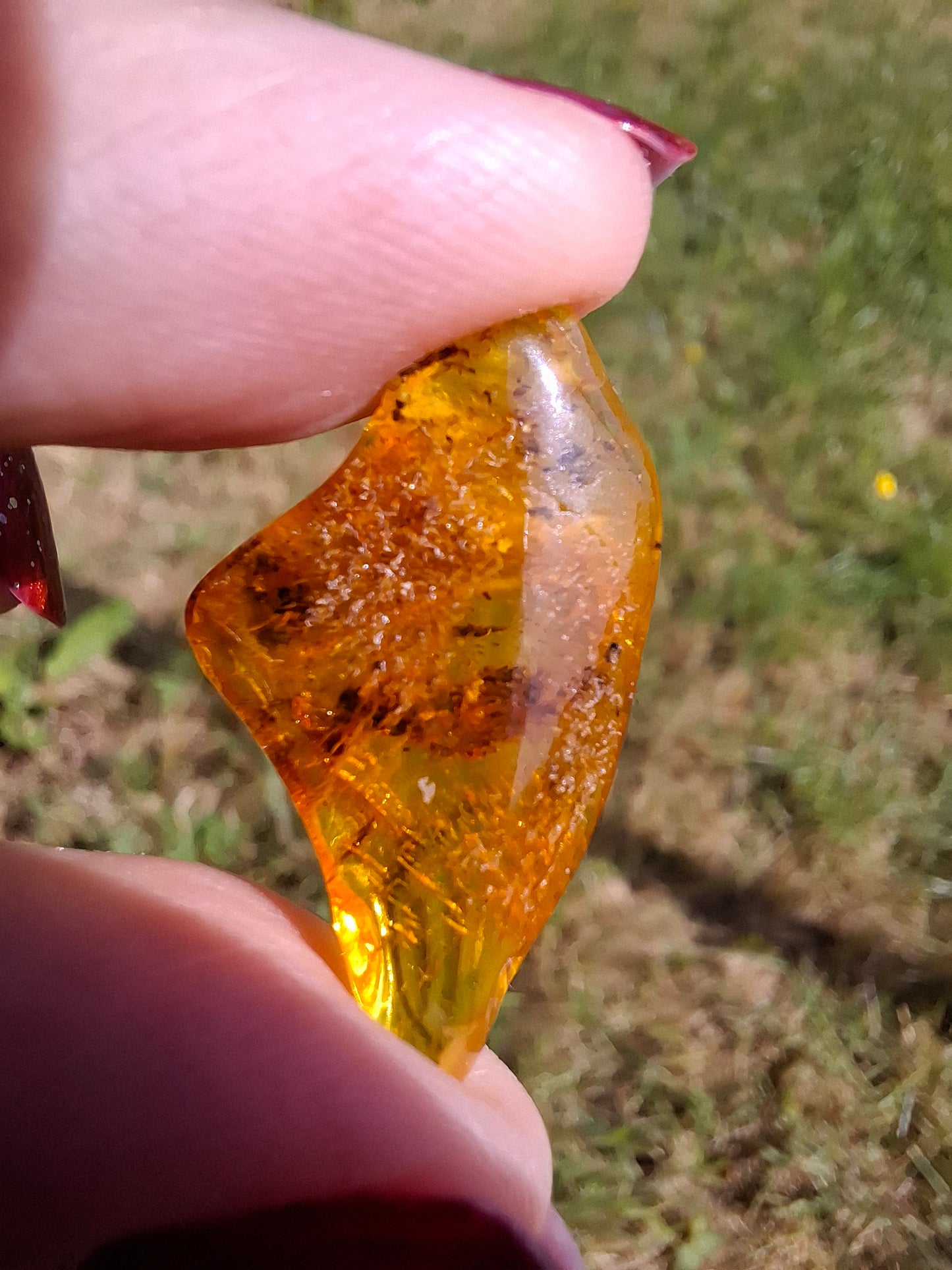 Baltic Amber, 1.25g, Fossil (Ref: A188)