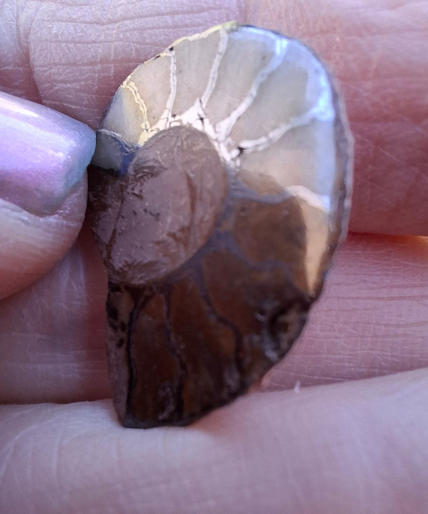 Small Haematite Ammonite HALF, 1.66g, Fossil (Ref: MA2)