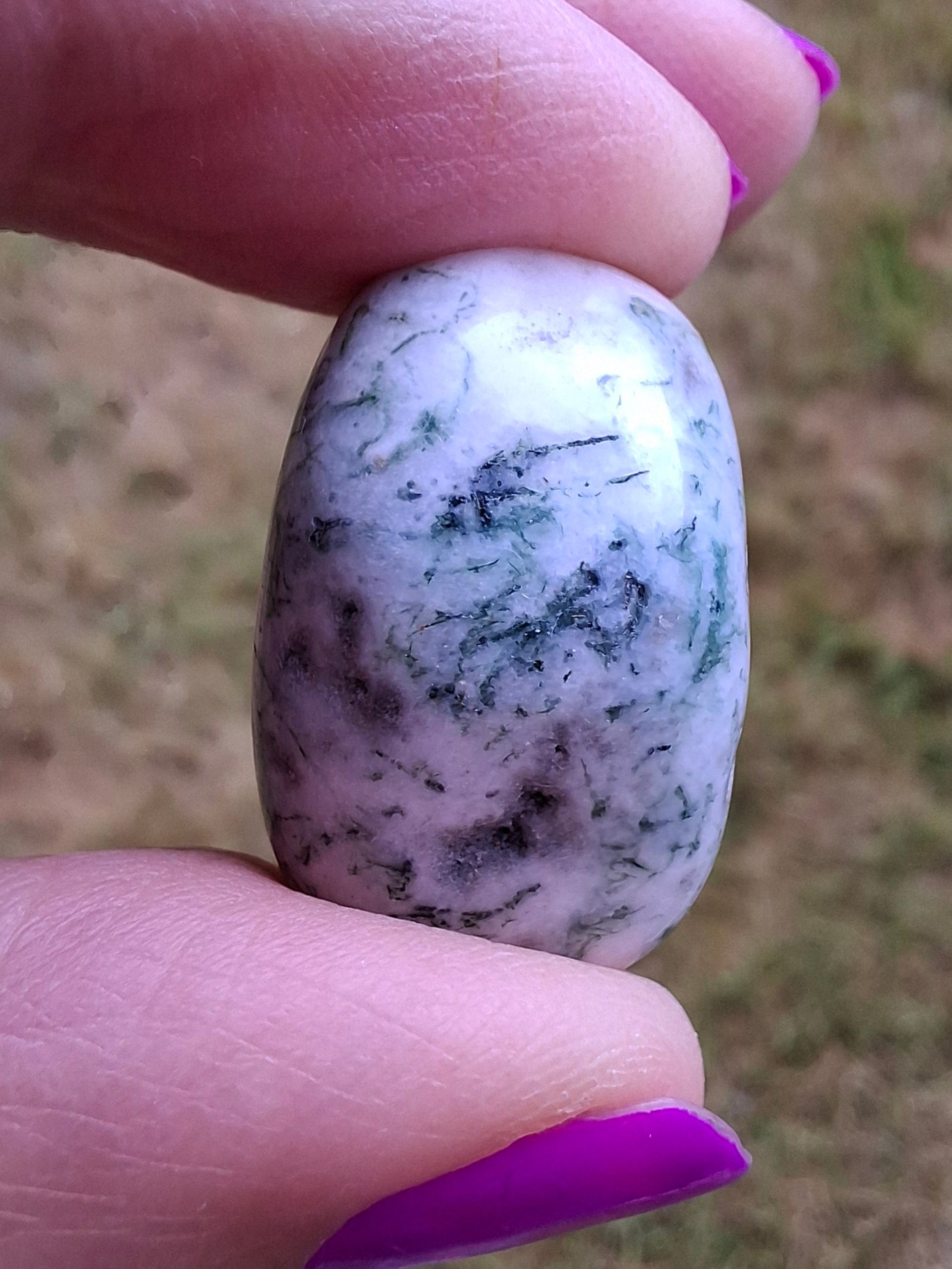 Tree Agate, Tumble Stone, Crystal (Ref: T3)