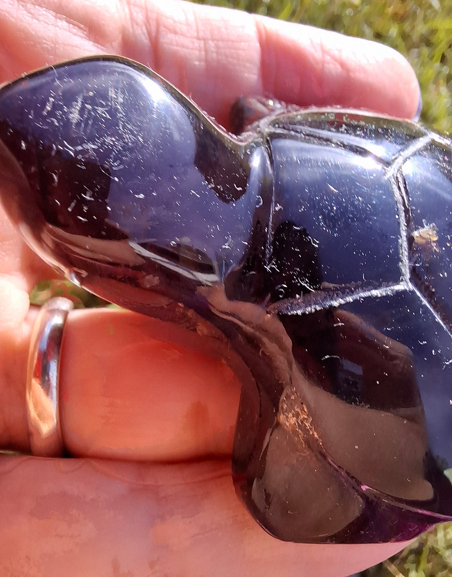 Red Amber Turtle, 47.85g, Carving, Fossil (Ref: TT4)