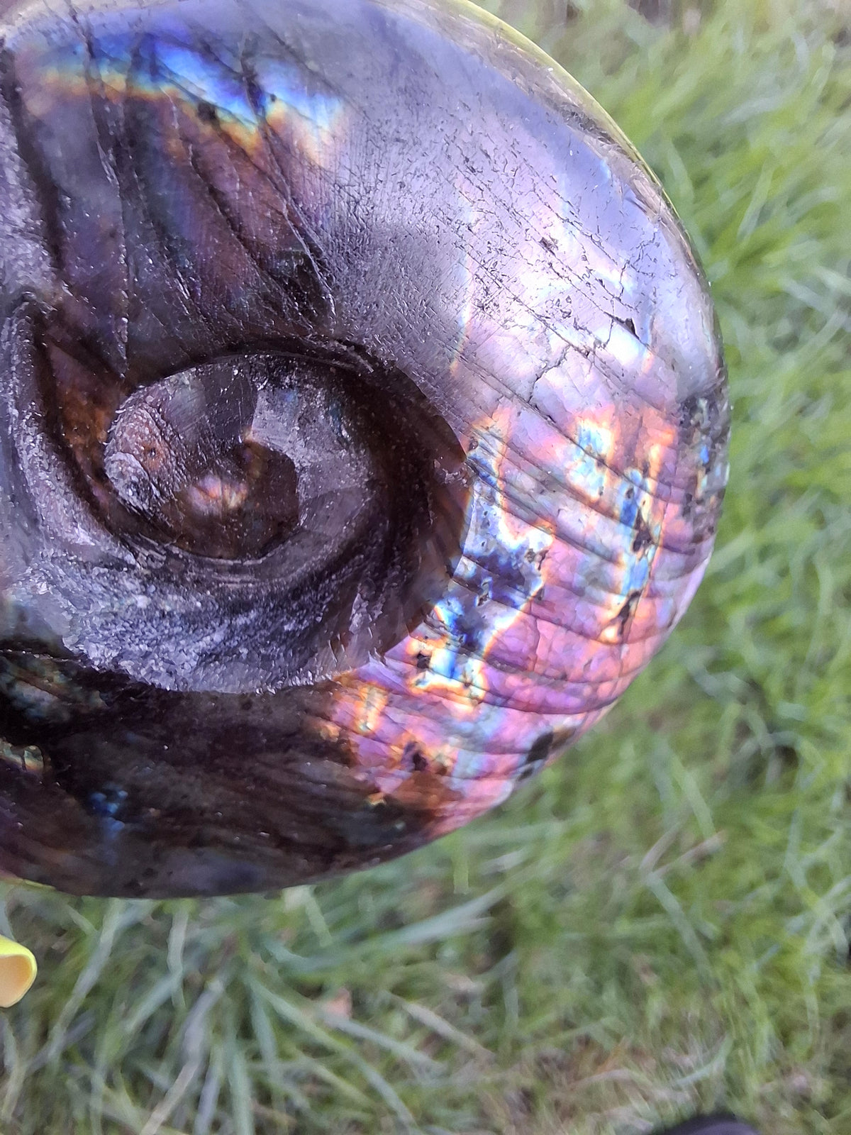 Labradorite Ammonite Carving, 153.97g, Crystal (Ref: laba2)