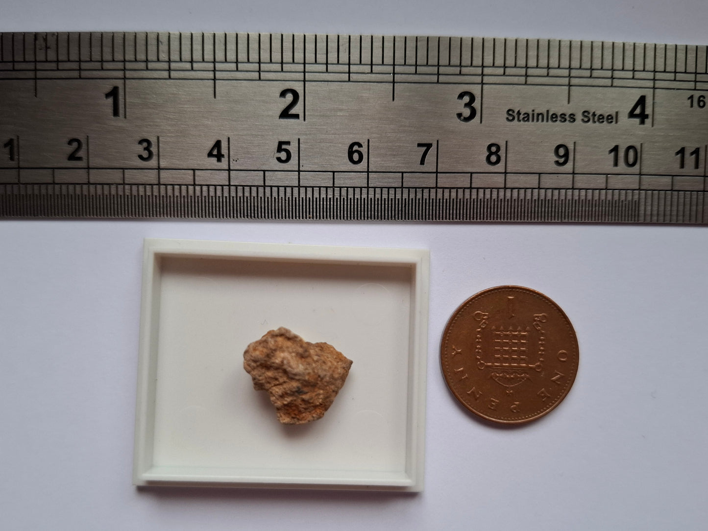 Chondrite, Meteorite (Ref: CM3)