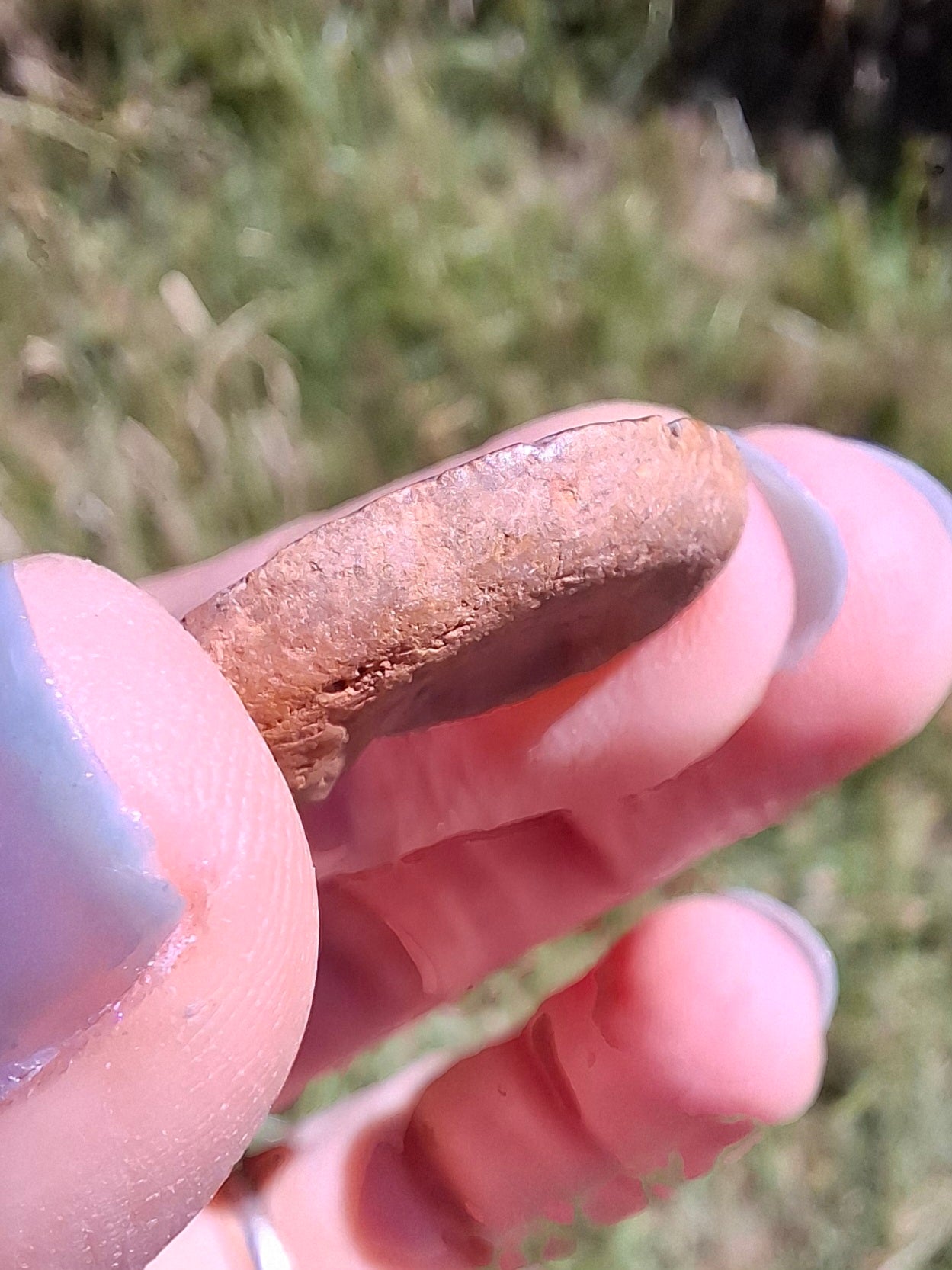 Small Haematite Ammonite HALF, (2.91g), Fossil (Ref: MA1)