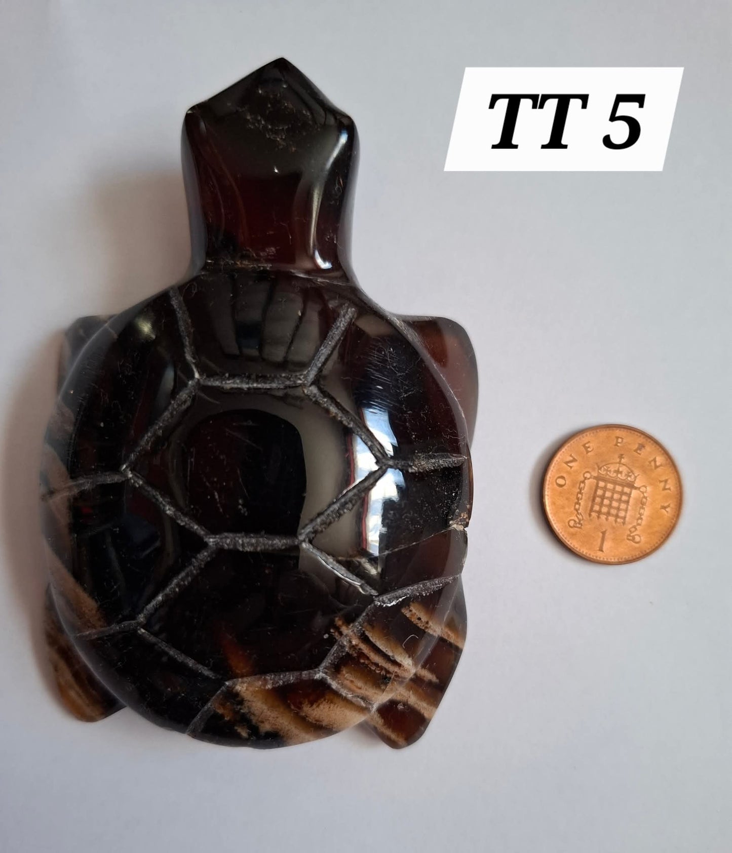 Red Amber Turtle, 59.07g, Carving, Fossil (Ref: TT5)