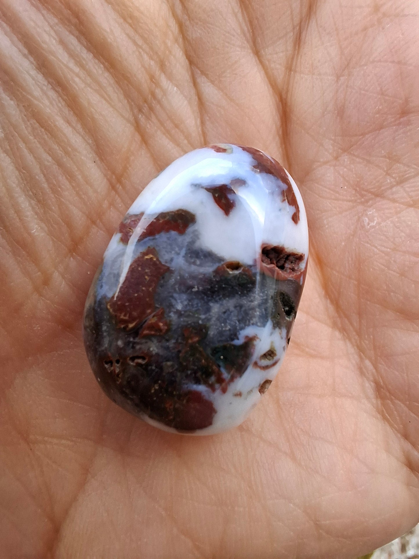 Ocean Jasper, Tumble Stone, Crystal (Ref: T198)