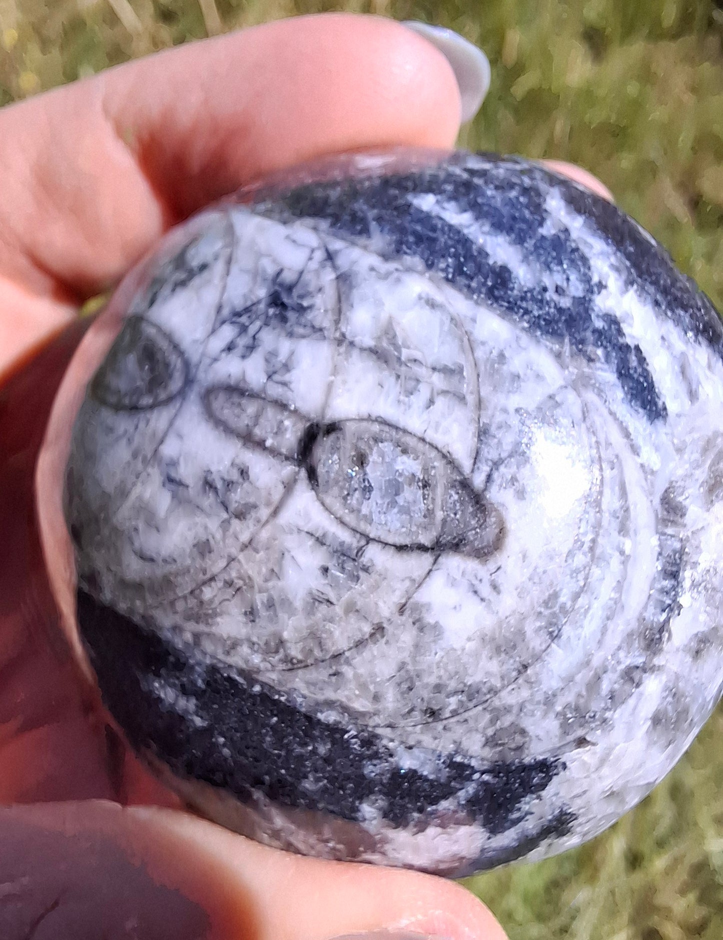 Orthoceras Sphere, Fossil (Ref: OS2)