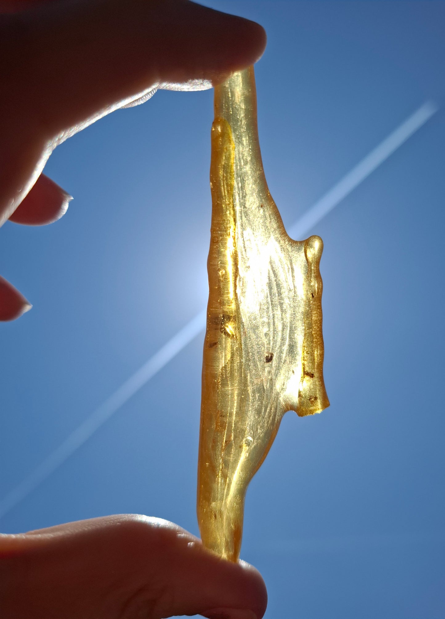 Copal Young Amber with INSECTS inside, 10.79g, Fossil (Ref: CA14)