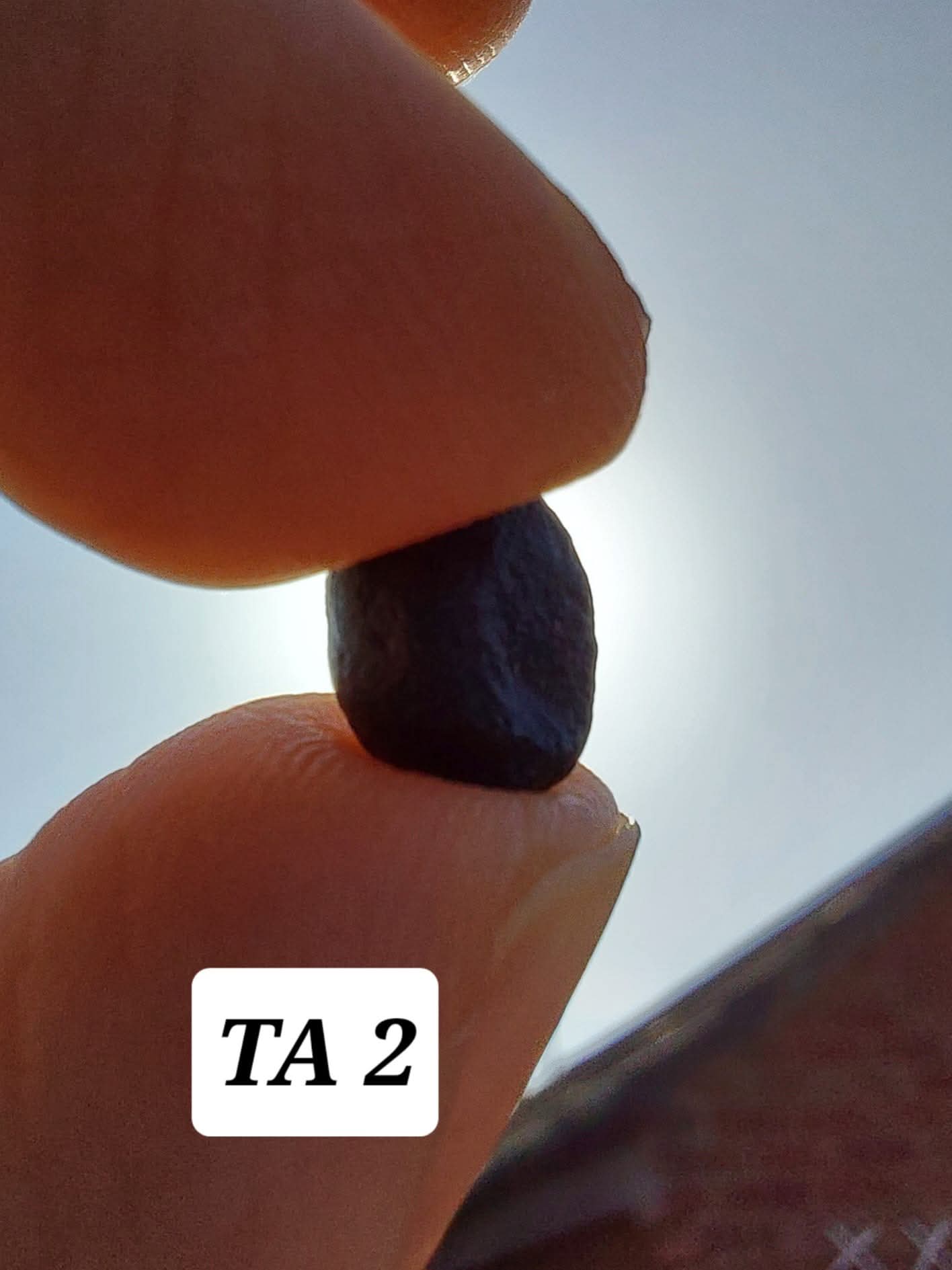 Atacamite, 0.43g, Tektite (Ref: TA2)