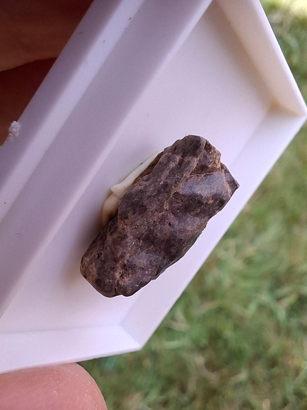 Chondrite, Meteorite (Ref: CM10)