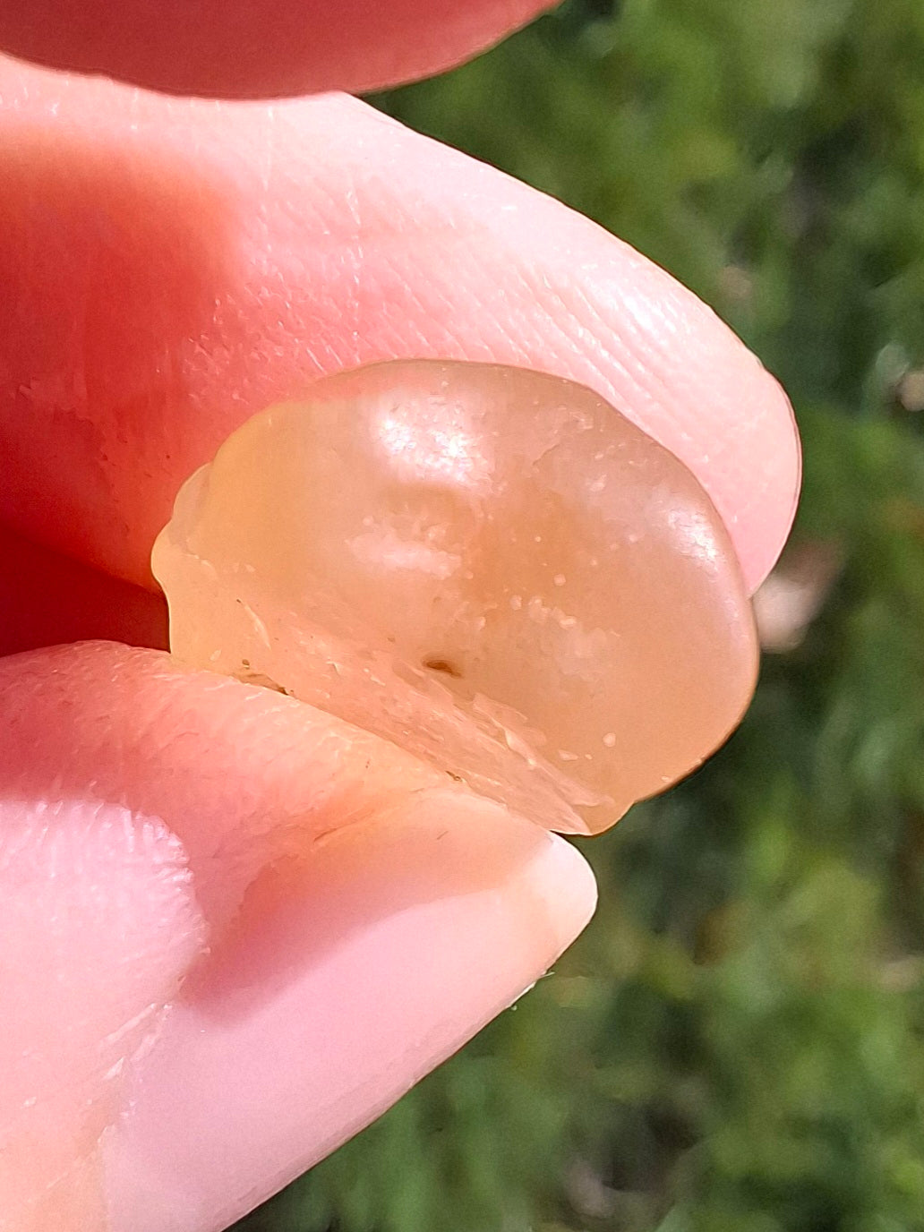 Libyan Desert Glass small Piece, 1.55g, Tektite (Ref: L1347)