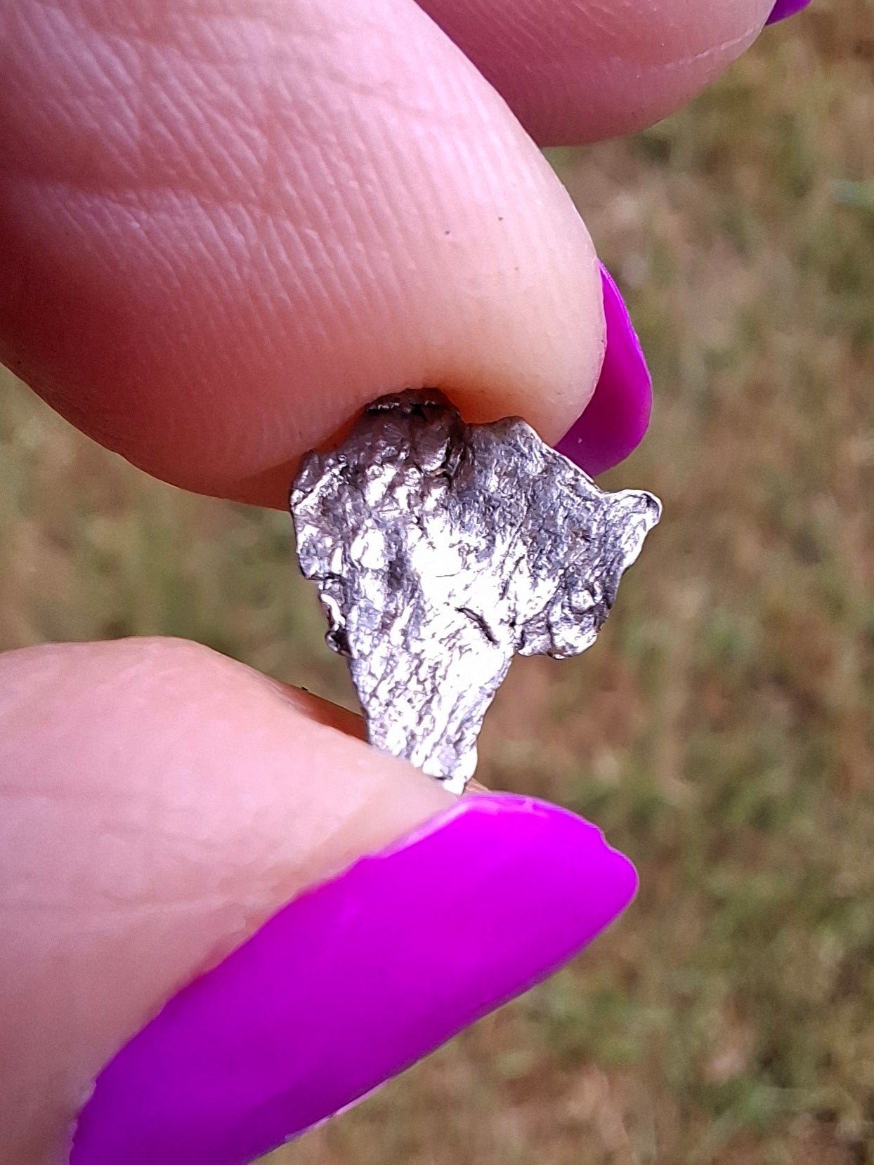 Campo del Cielo, 0.37g, Nickel Iron Meteorite (Ref: C13)