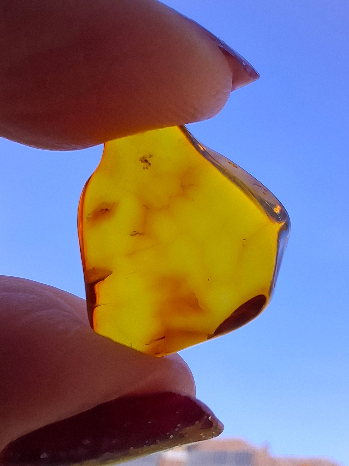 Baltic Amber, 0.88g, Fossil (Ref: A254)