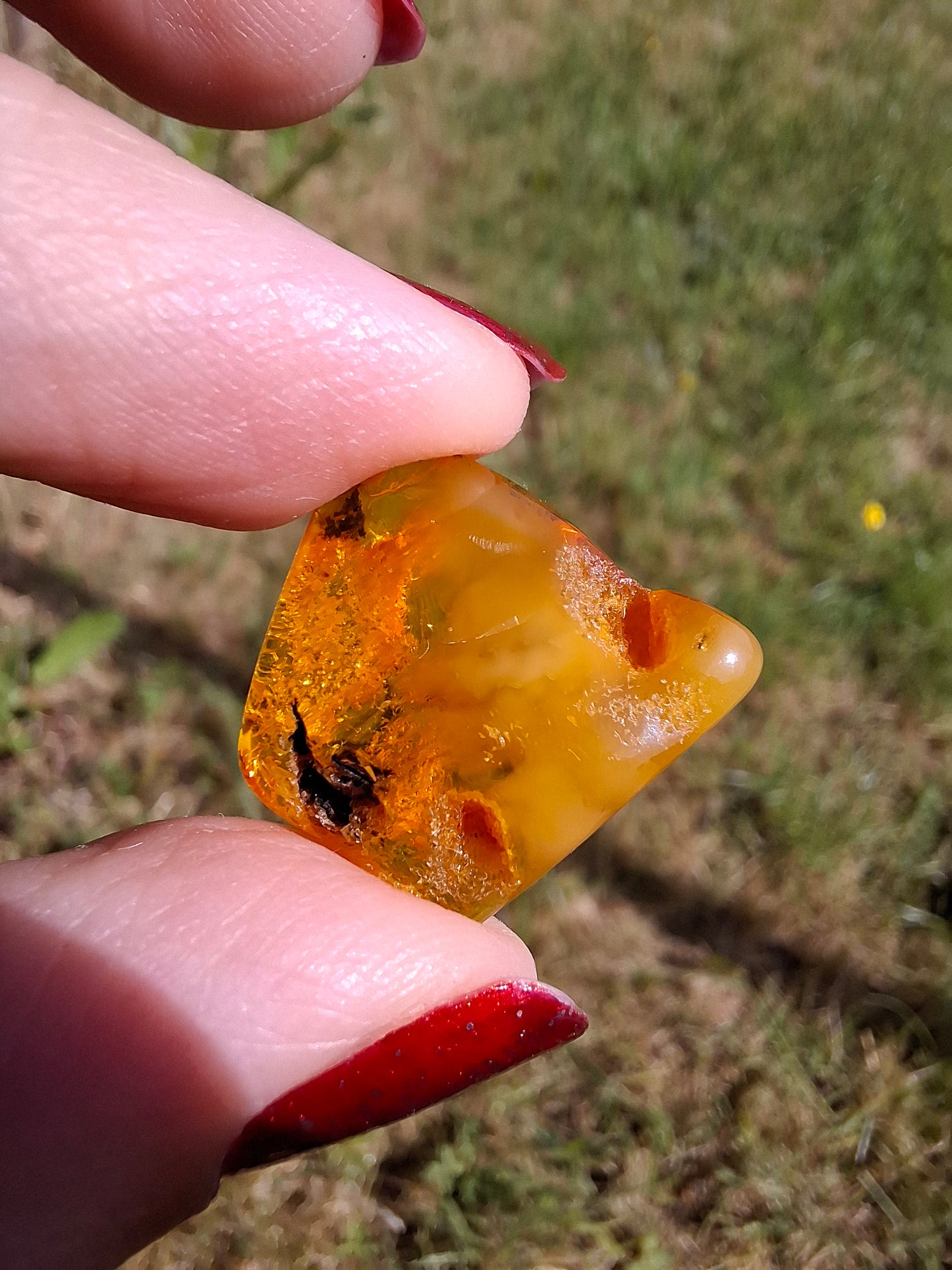 Baltic Amber, 1.74g, Fossil (Ref: A201)