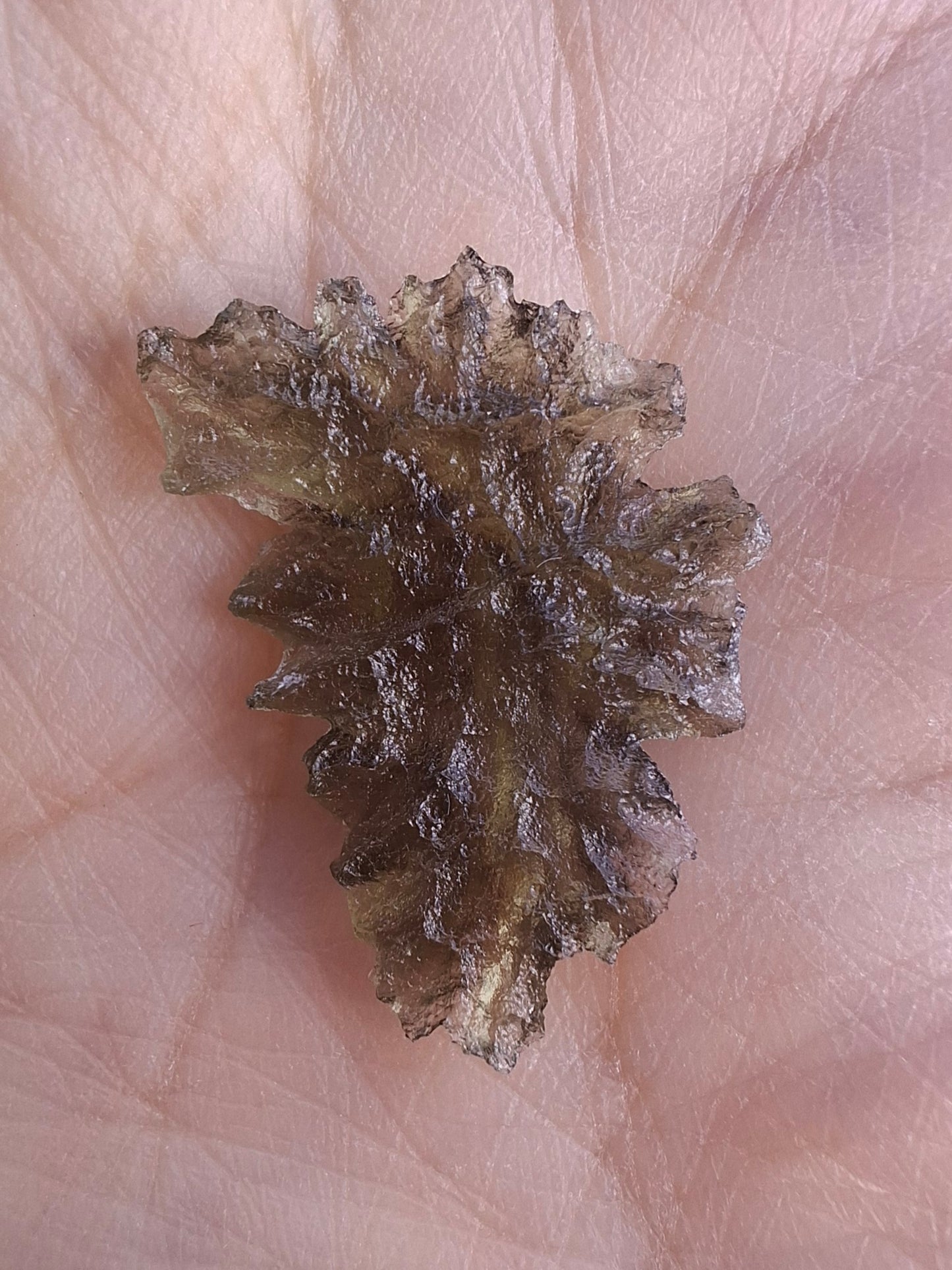 Moldavite Piece, JEZKOVNA BESEDNICE, 1.18g, Tektite (Ref: 1271)