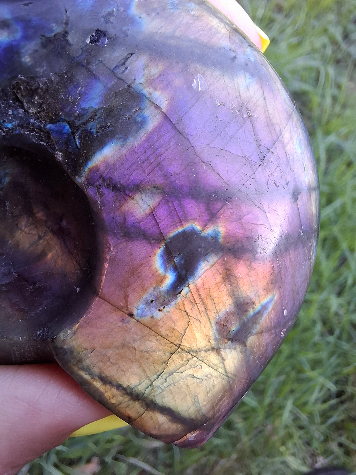 Labradorite Ammonite Carving, 146.90g, Crystal (Ref: laba5)