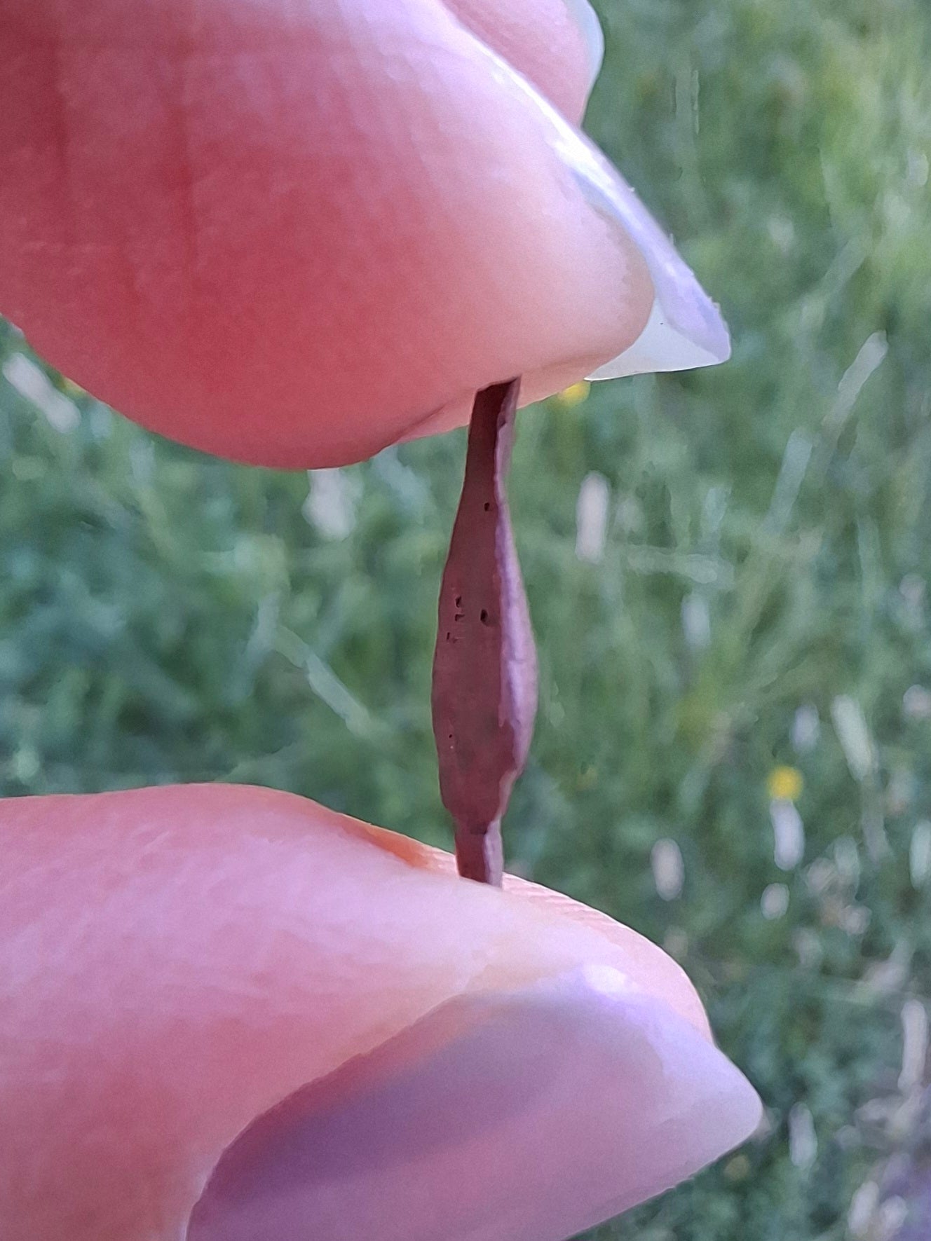 Native Copper Nugget, 0.76g, (Ref: COP6)