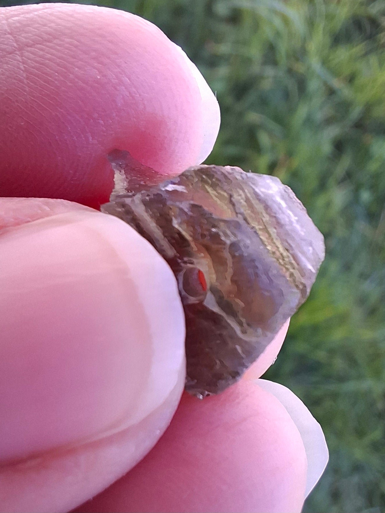DRILLED, Moldavite Piece, 1.07g, Tektite (Ref: D15)