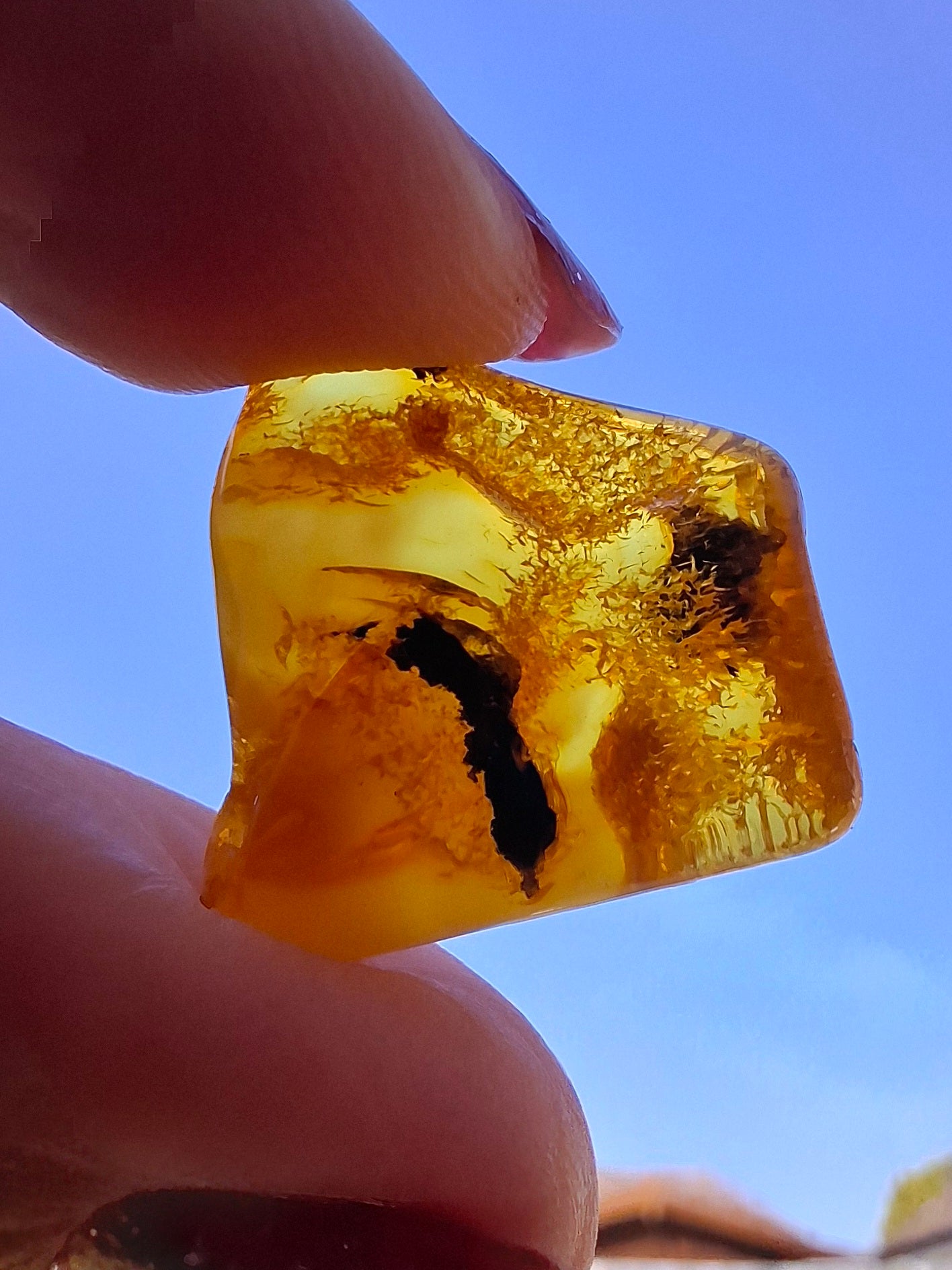 Baltic Amber, 1.74g, Fossil (Ref: A201)