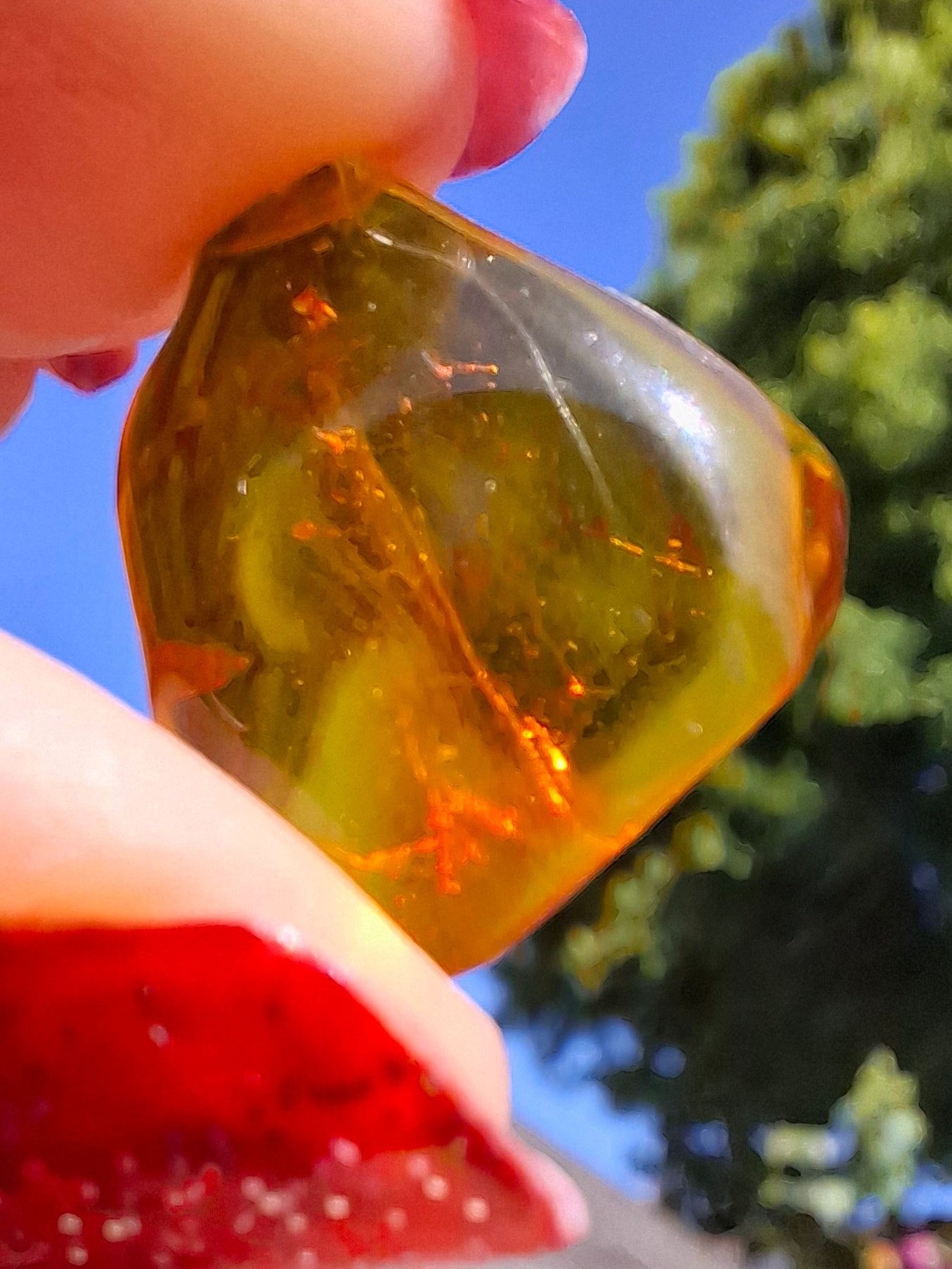 Baltic Amber, 0.88g, Fossil (Ref: A254)