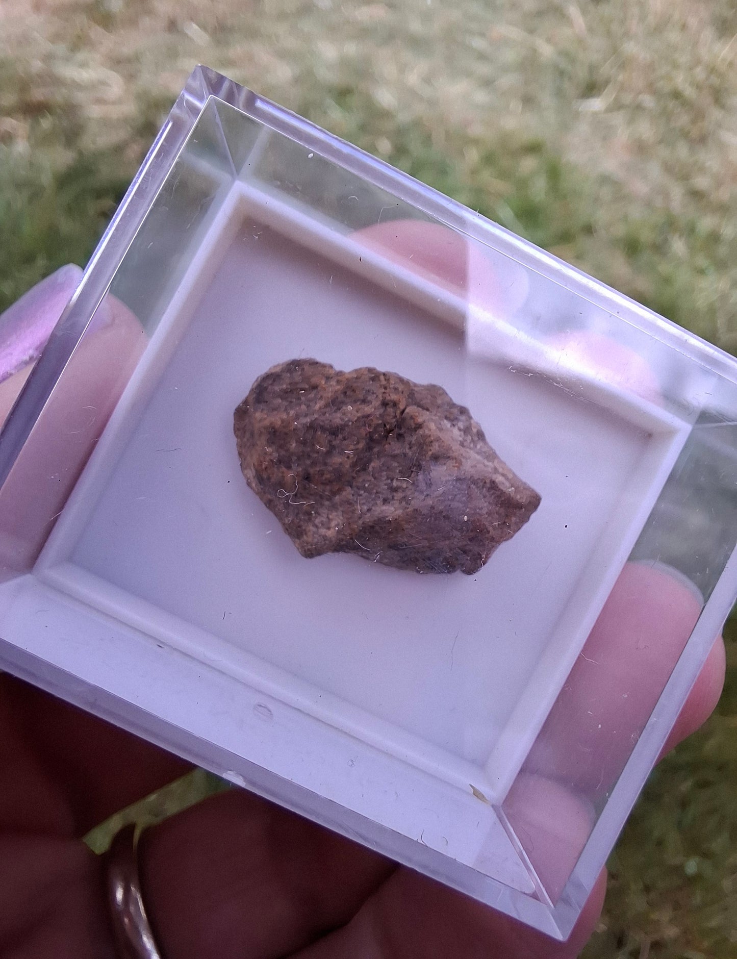Chondrite, Meteorite (Ref: CM7)