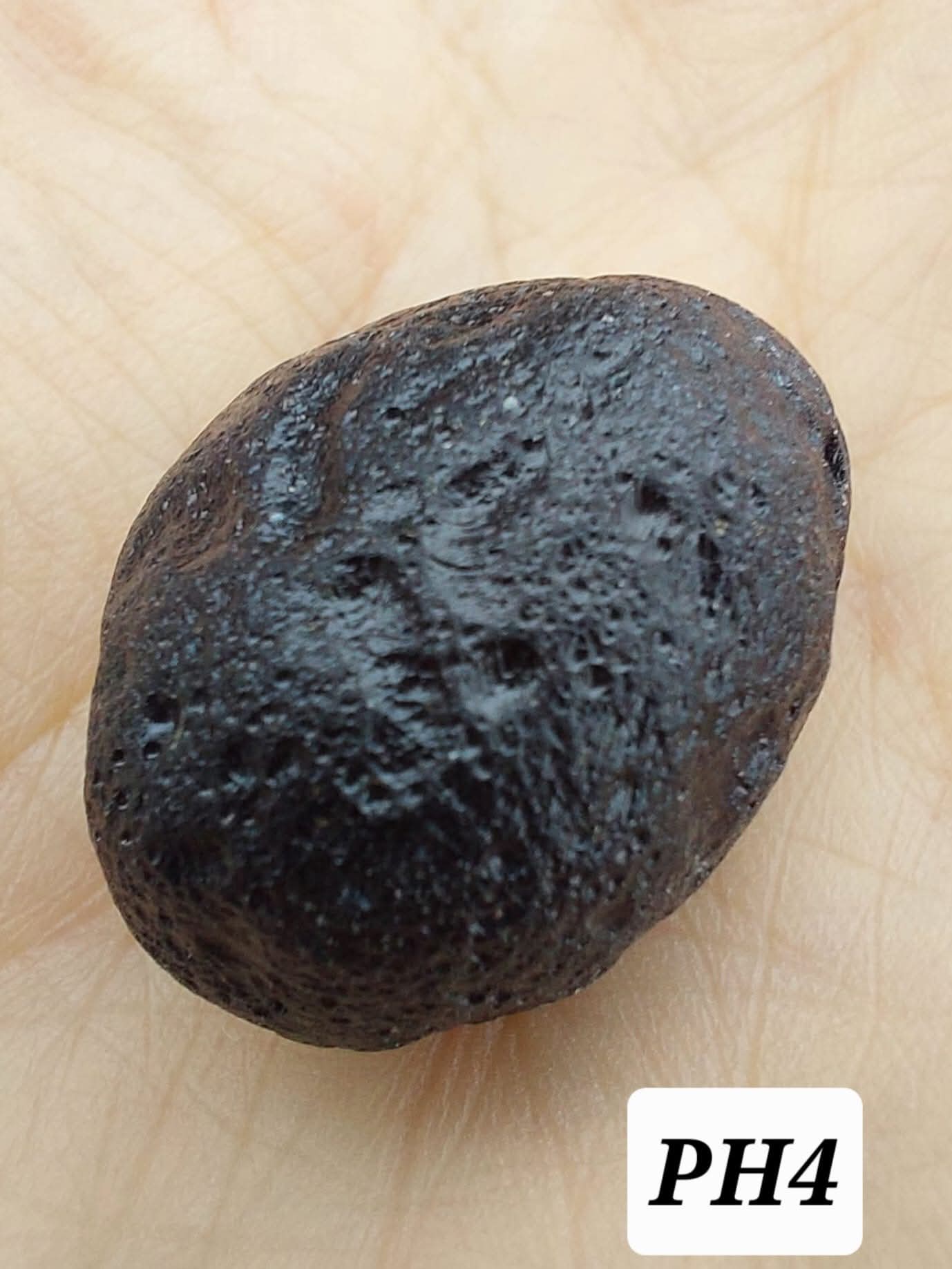 Philippinite (Rizalite), 11.42g, Tektite