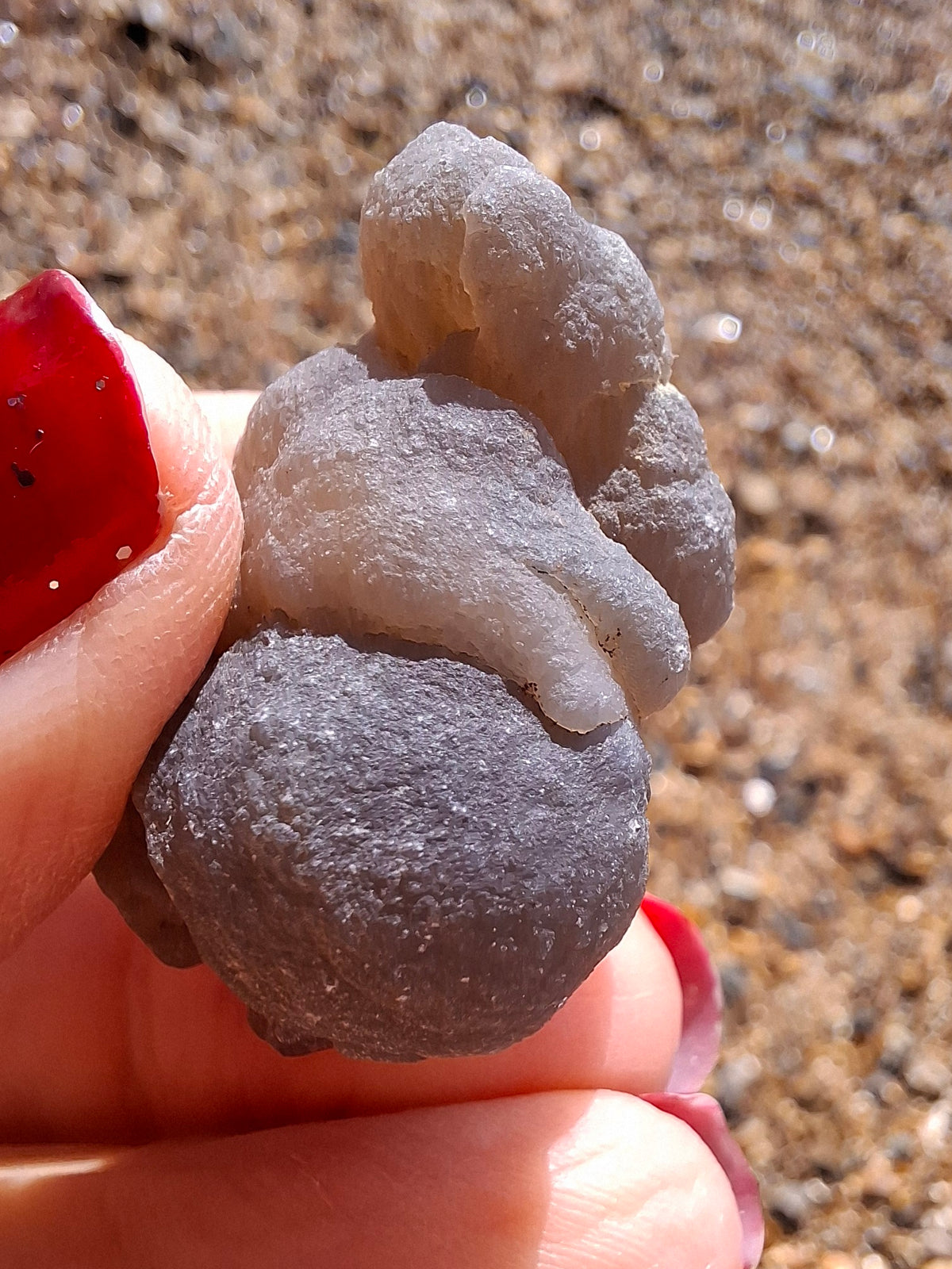 Nebula Chalcedony, 16.92g, Fossil (Ref: NC6)