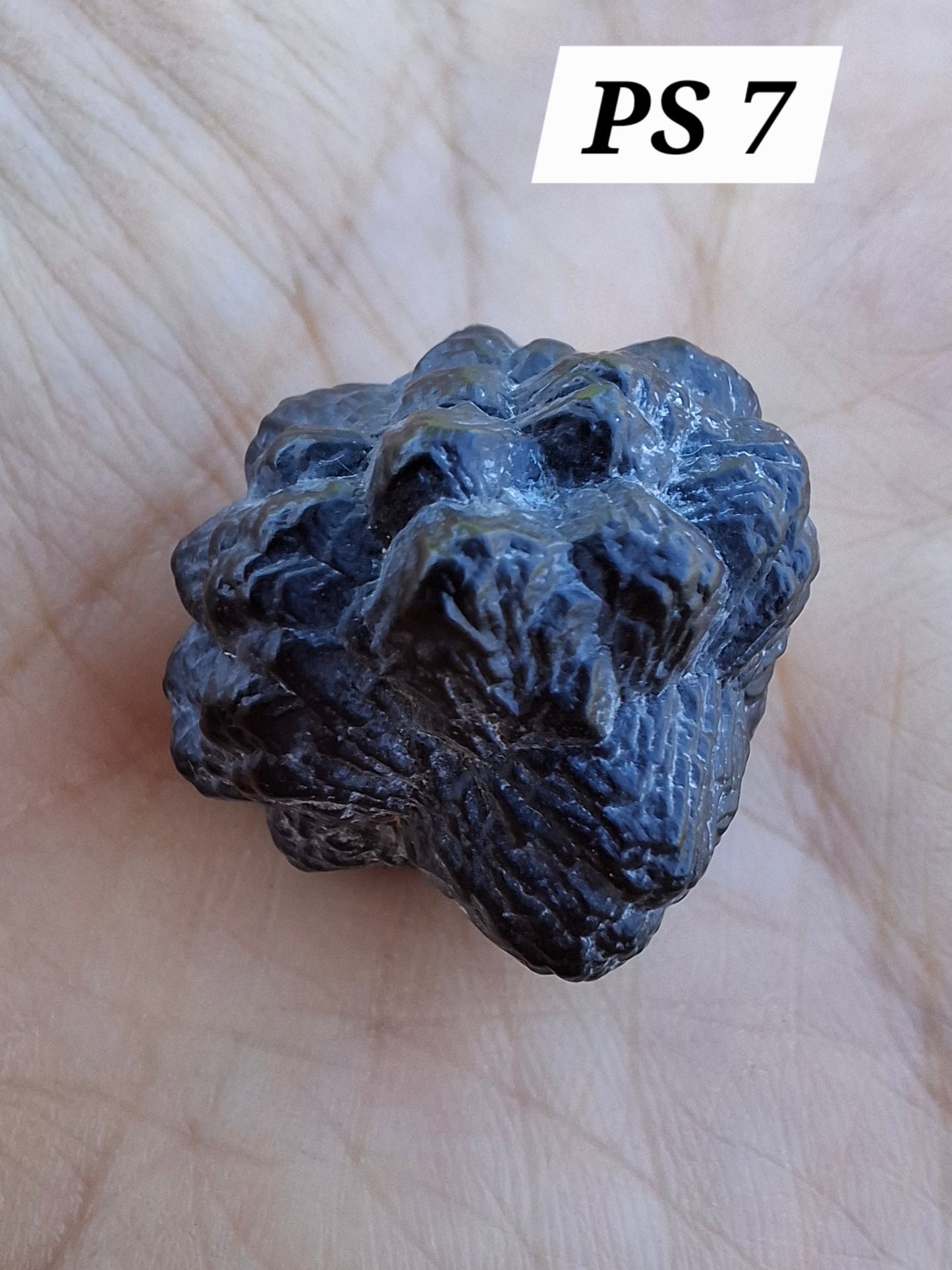 Prophecy Stone, 17.06g (Ref: PS7)