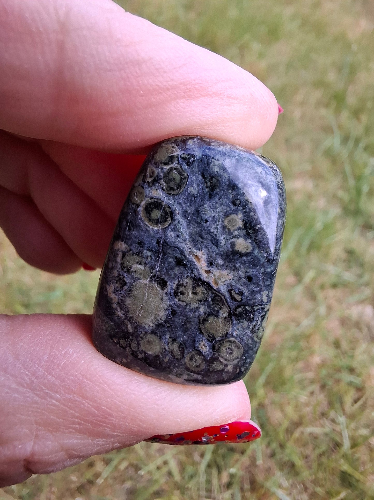 Kambaba Jasper, Tumble Stone, Crystal (Ref: T164)