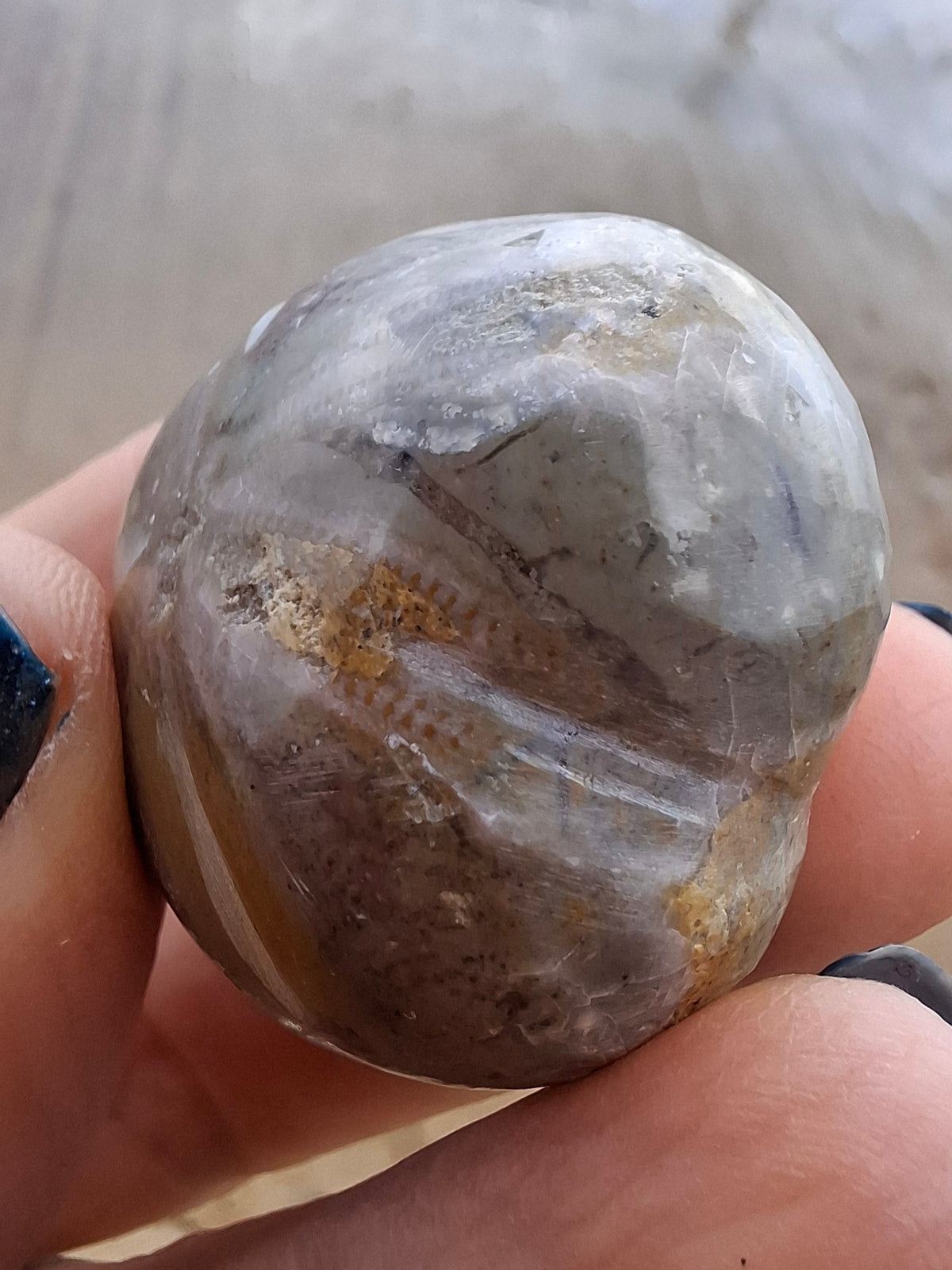 Polished Sea Urchin, Fossil (Ref: SU6)