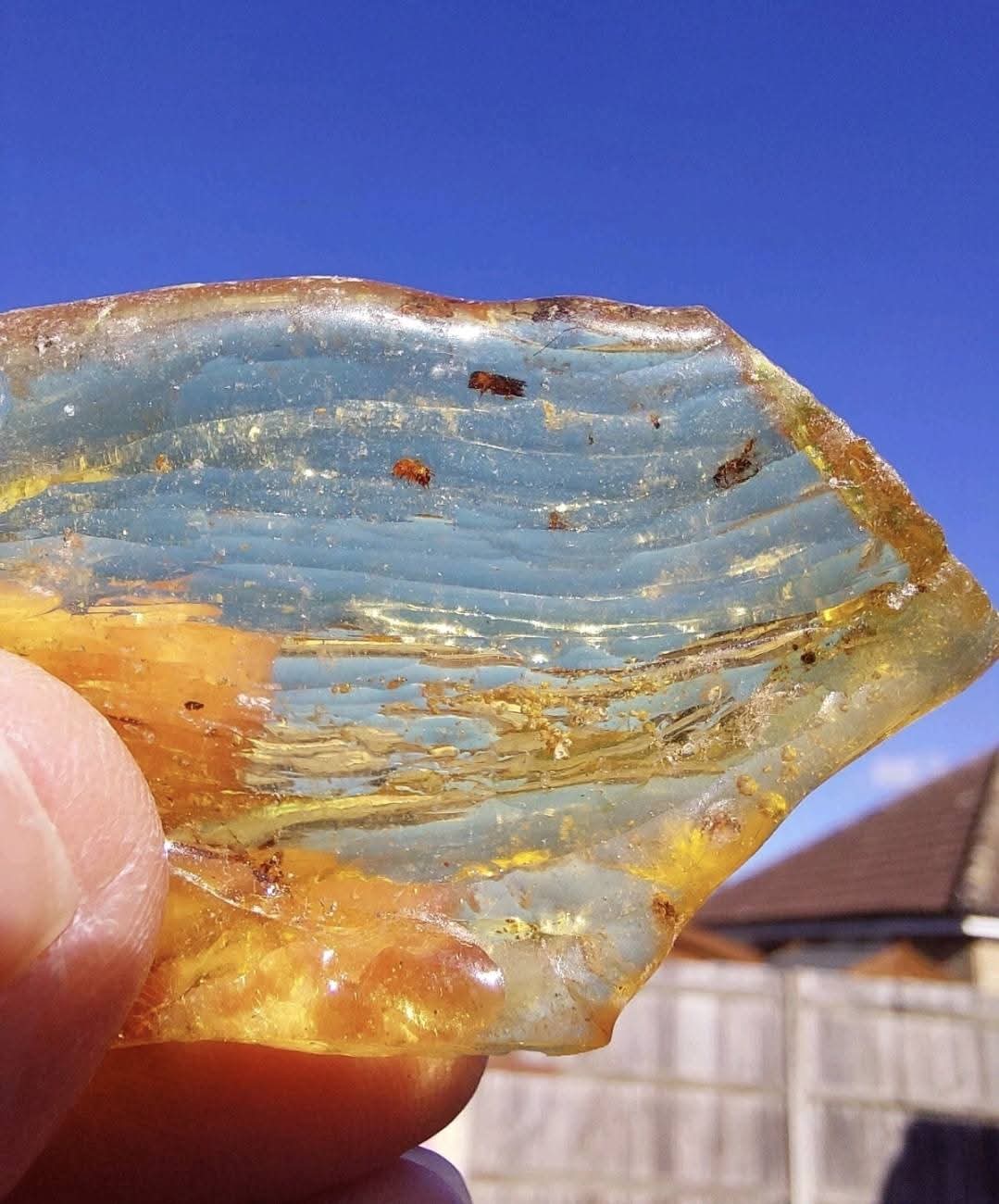 Copal Young Amber with INSECTS inside, 6.42g, Fossil (Ref: CA38)