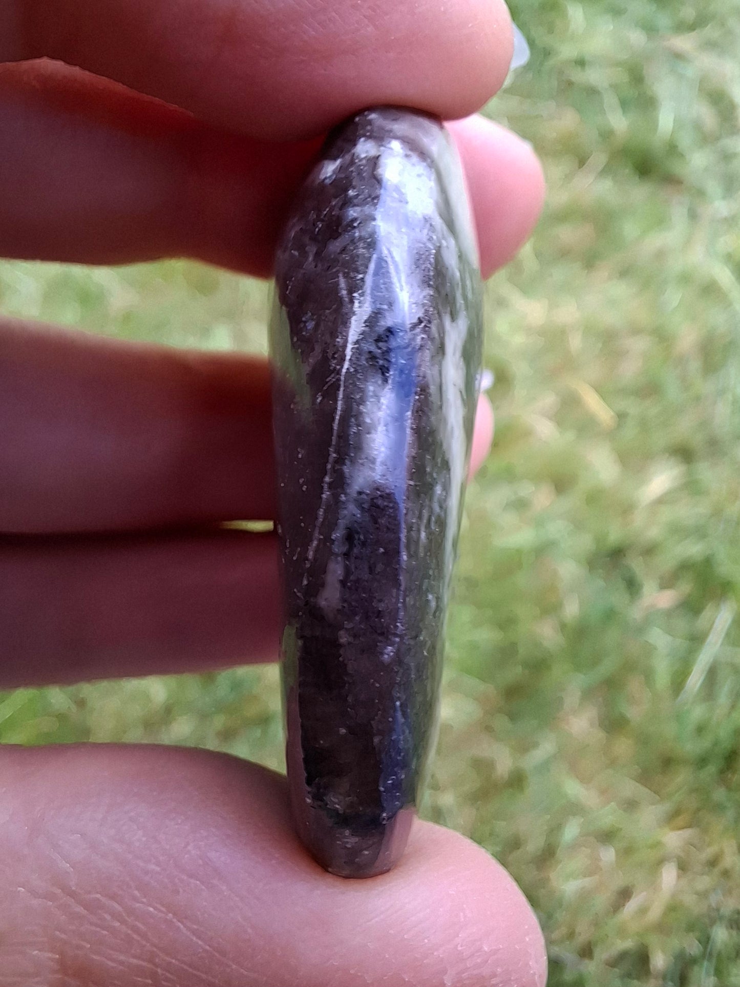 Goniatite, Fossil (Ref: GA6)