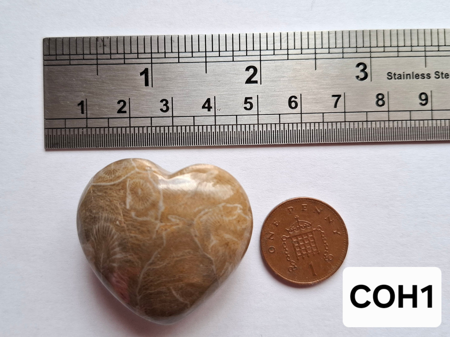 Fossil Coral Heart, (Ref:CoH1)