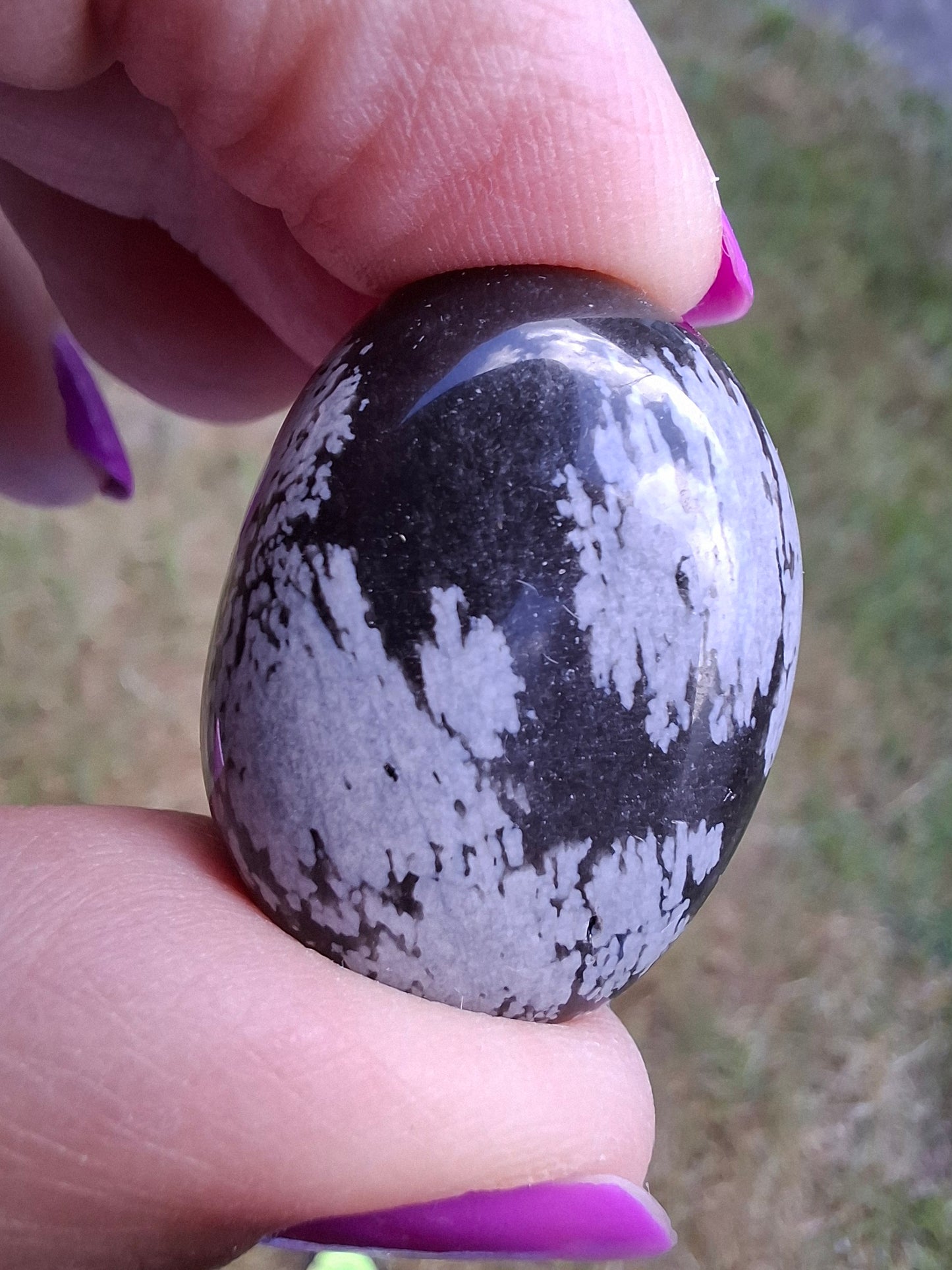 Snowflake Obsidian, Tumble Stone, Crystal (Ref: T98)