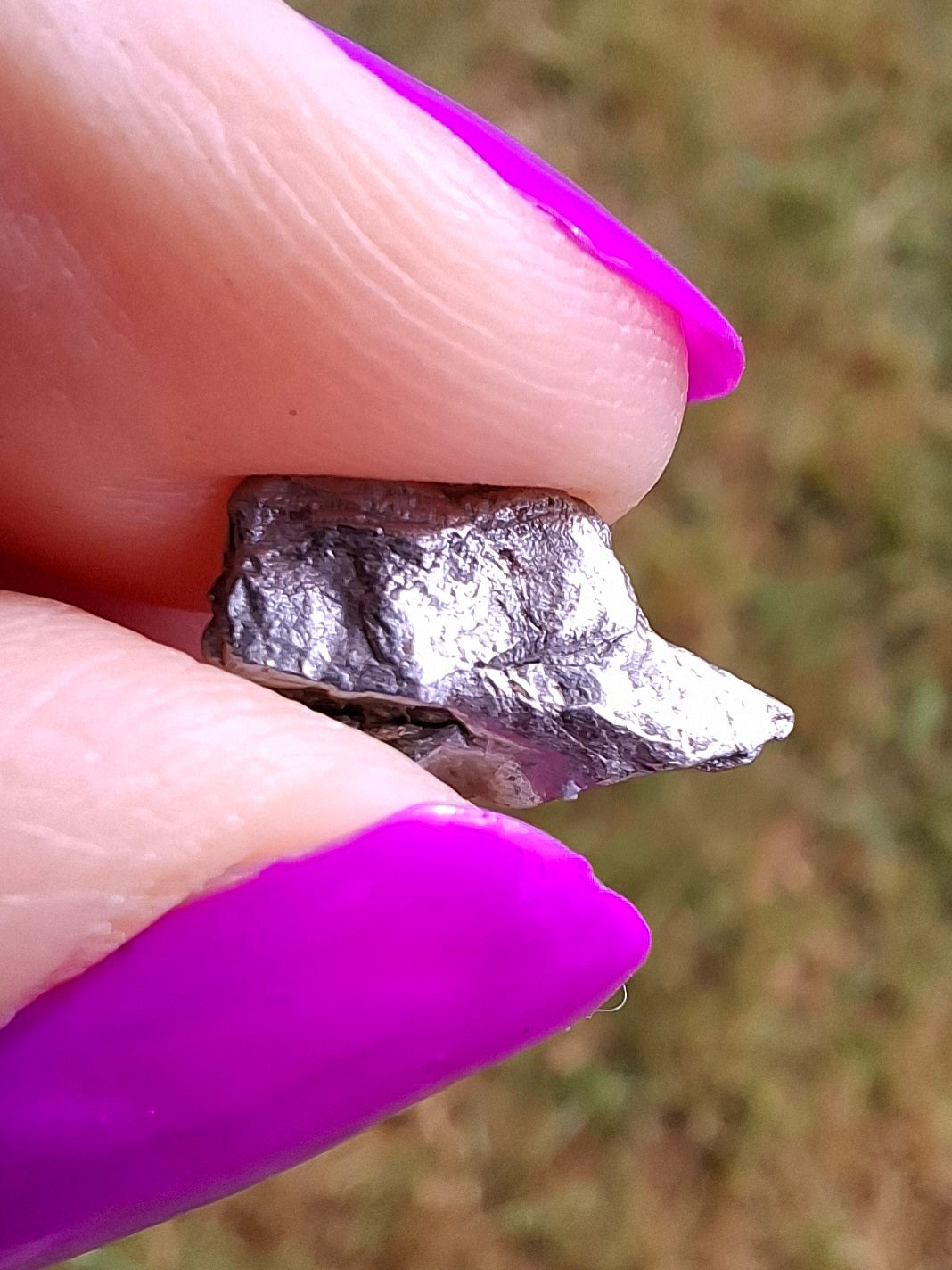 Campo del Cielo, 0.55g, Nickel Iron Meteorite (Ref: C3)