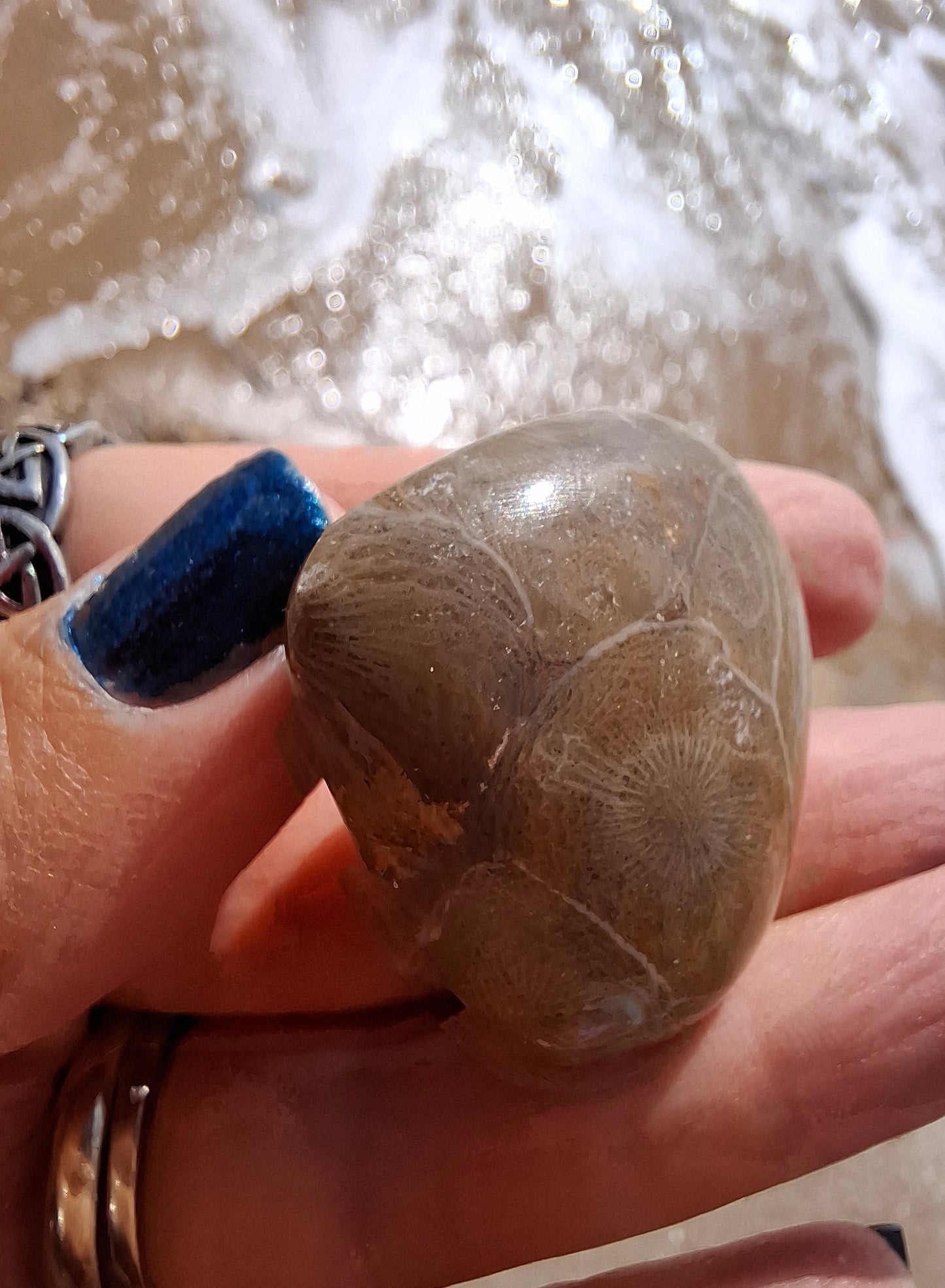 Fossil Coral Heart, (Ref: CoH2)