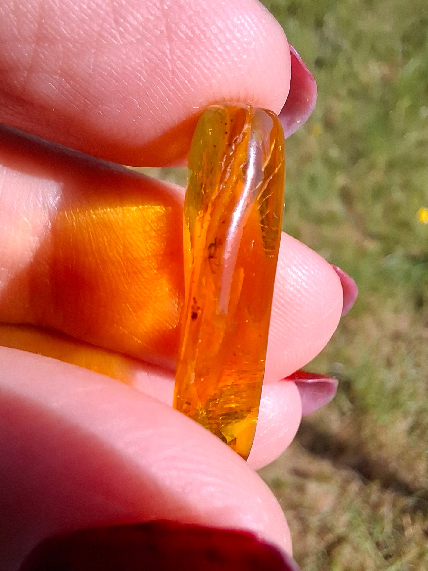 Baltic Amber, 1.23g, Fossil (Ref: A237)
