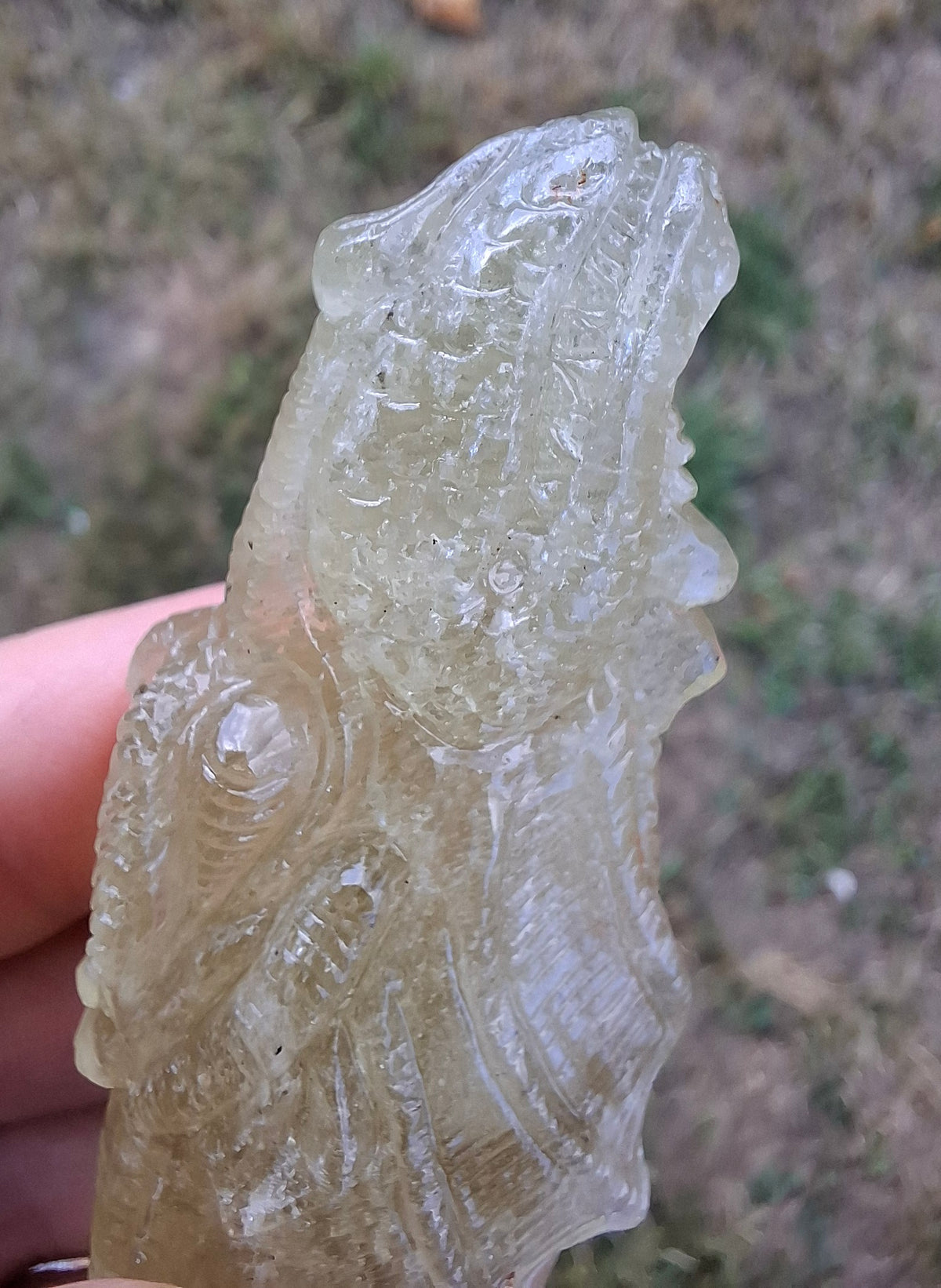 Libyan Desert Glass DRAGON HEAD carving, 48.11g, Tektite (Ref: Dragon4)
