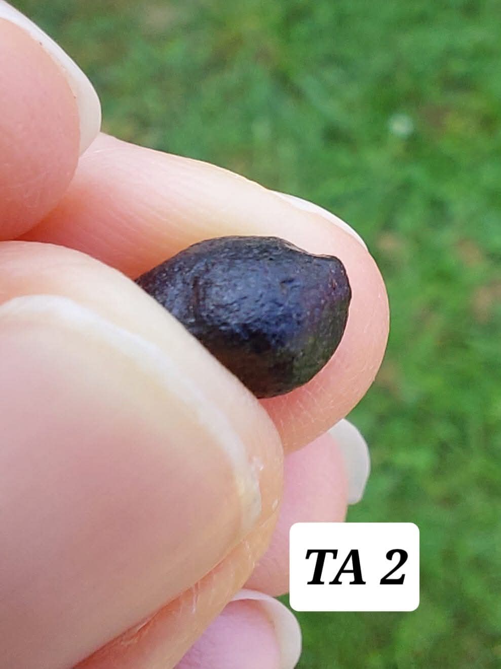 Atacamite, 0.43g, Tektite (Ref: TA2)
