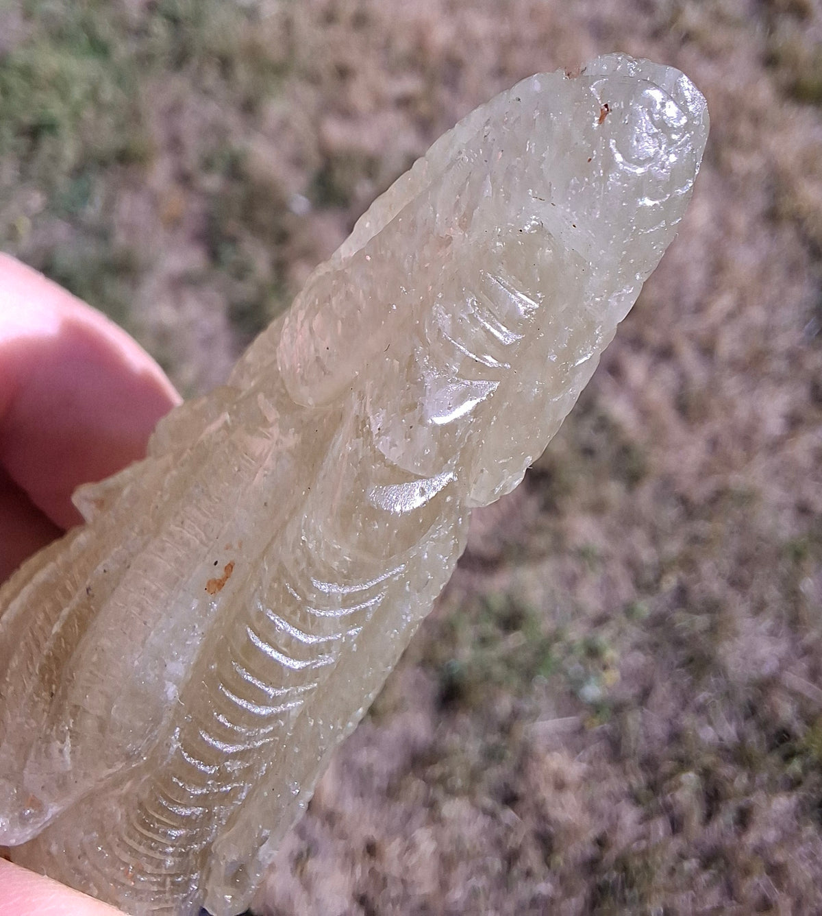 Libyan Desert Glass DRAGON HEAD carving, 48.11g, Tektite (Ref: Dragon4)