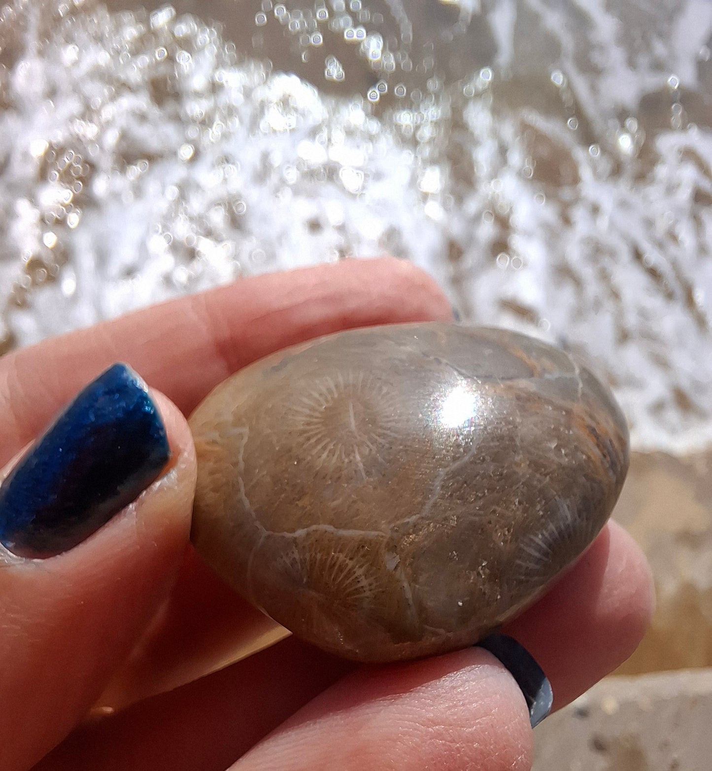 Fossil Coral Heart, (Ref:CoH1)