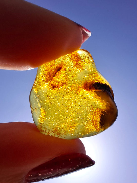 Baltic Amber, 1.45g, Fossil (Ref: A76)