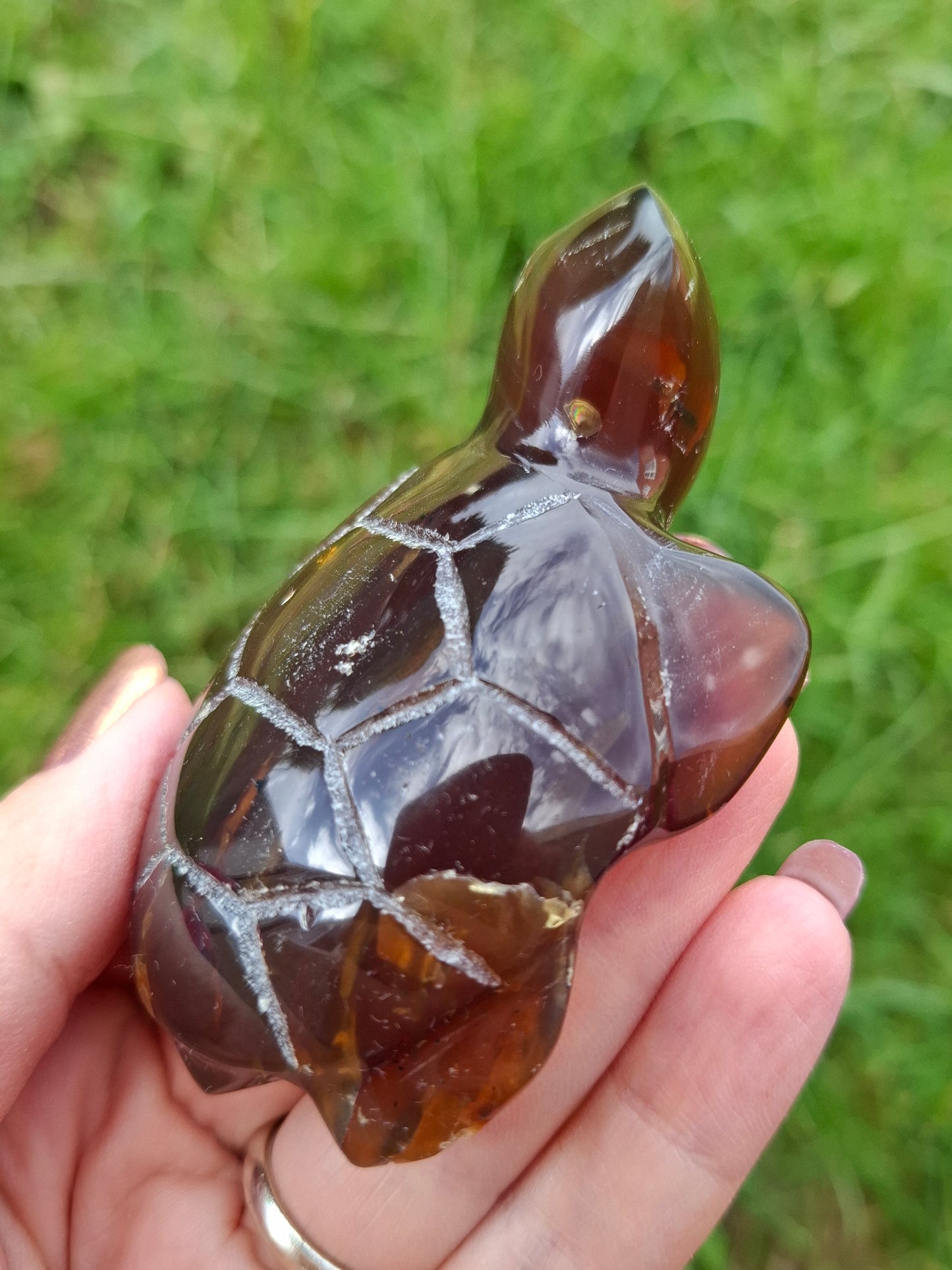 Red Amber Turtle, 49.15g, Carving, Fossil (Ref: TT1)
