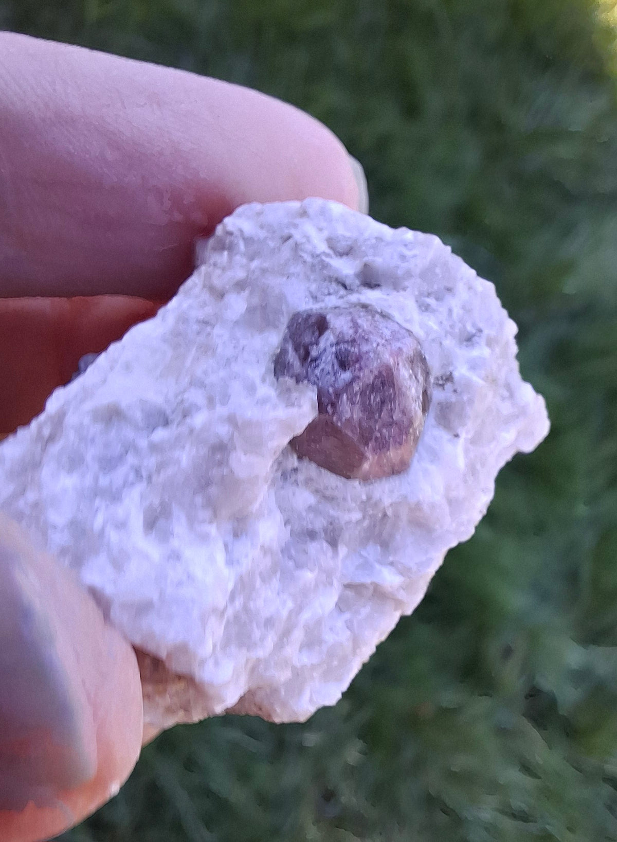 (Dig your own) Garnet in Matrix, Crystal (Ref: RG7)