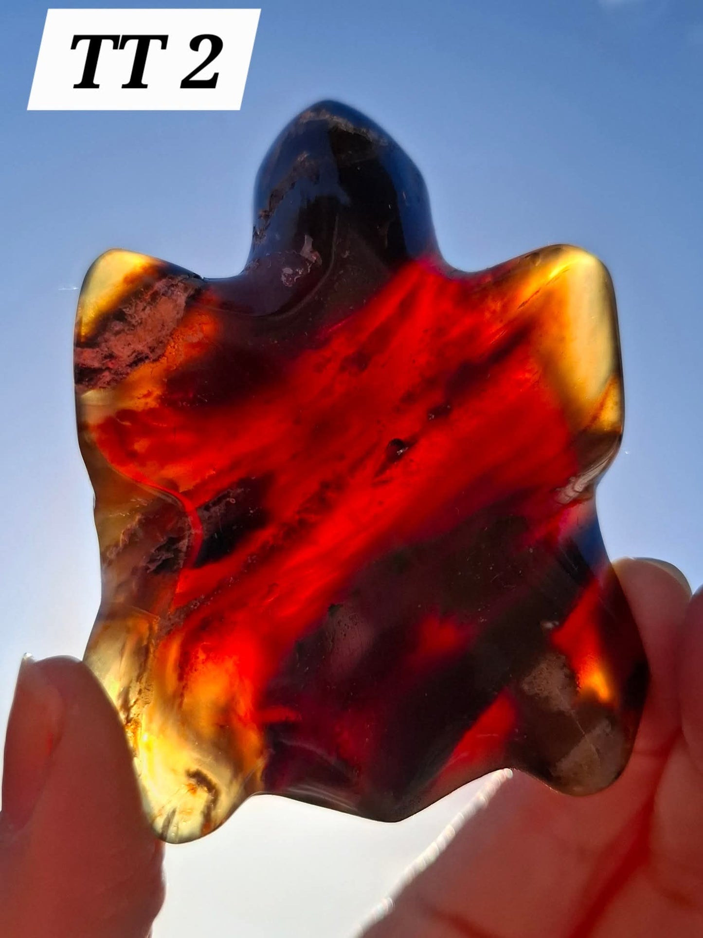 Red Amber Turtle, 56.87g, Carving, Fossil (Ref: TT2)