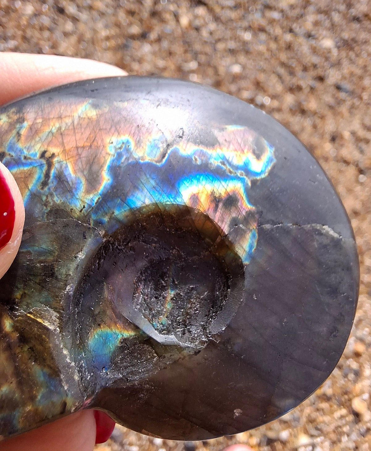 Labradorite Ammonite Carving, 89.31g, Crystal (Ref: laba6)