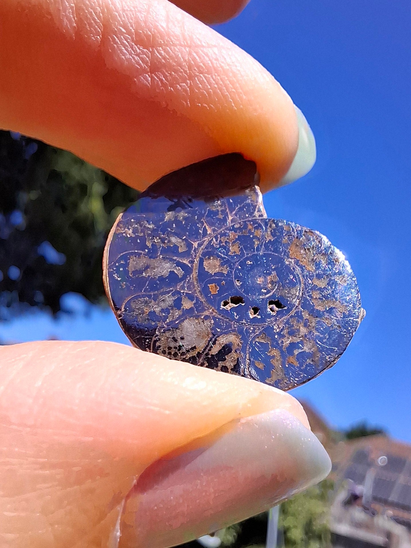 Small Haematite Ammonite HALF, 2.19g, Fossil (Ref: MA3)